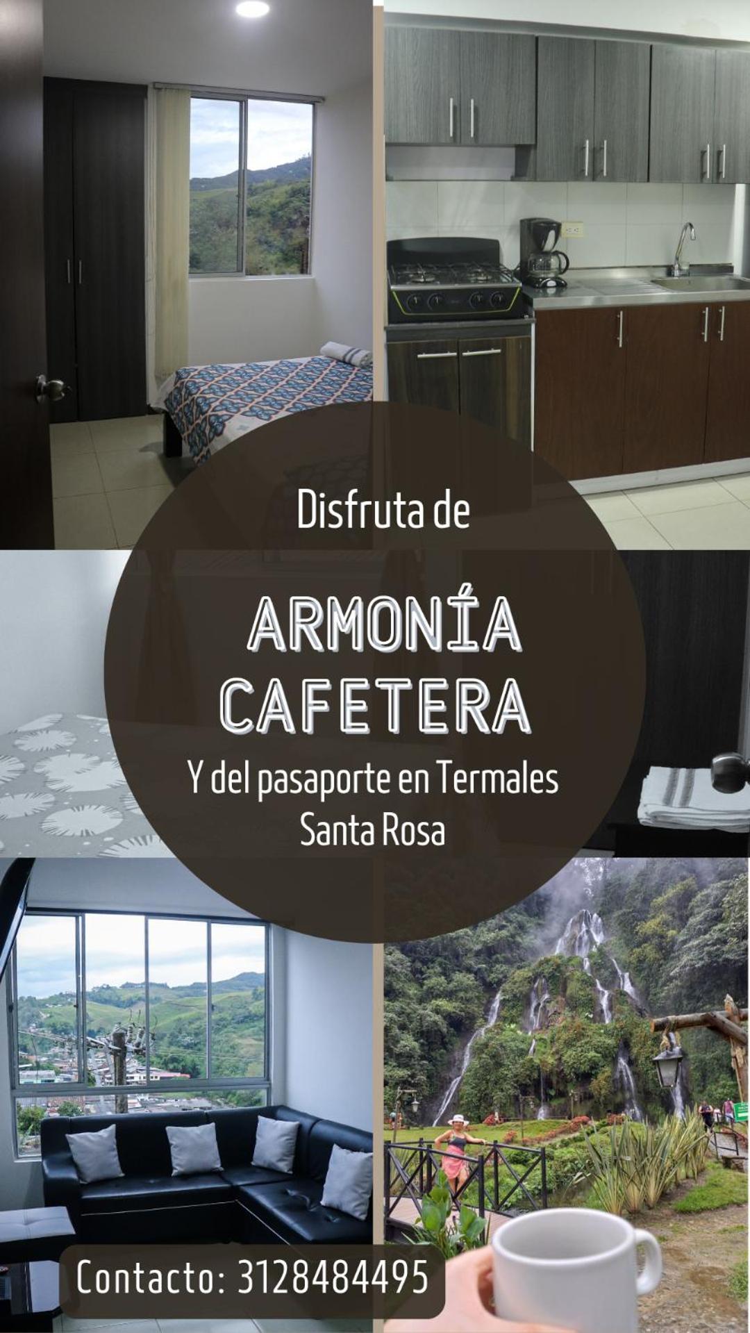 Armonía Cafetera view 5