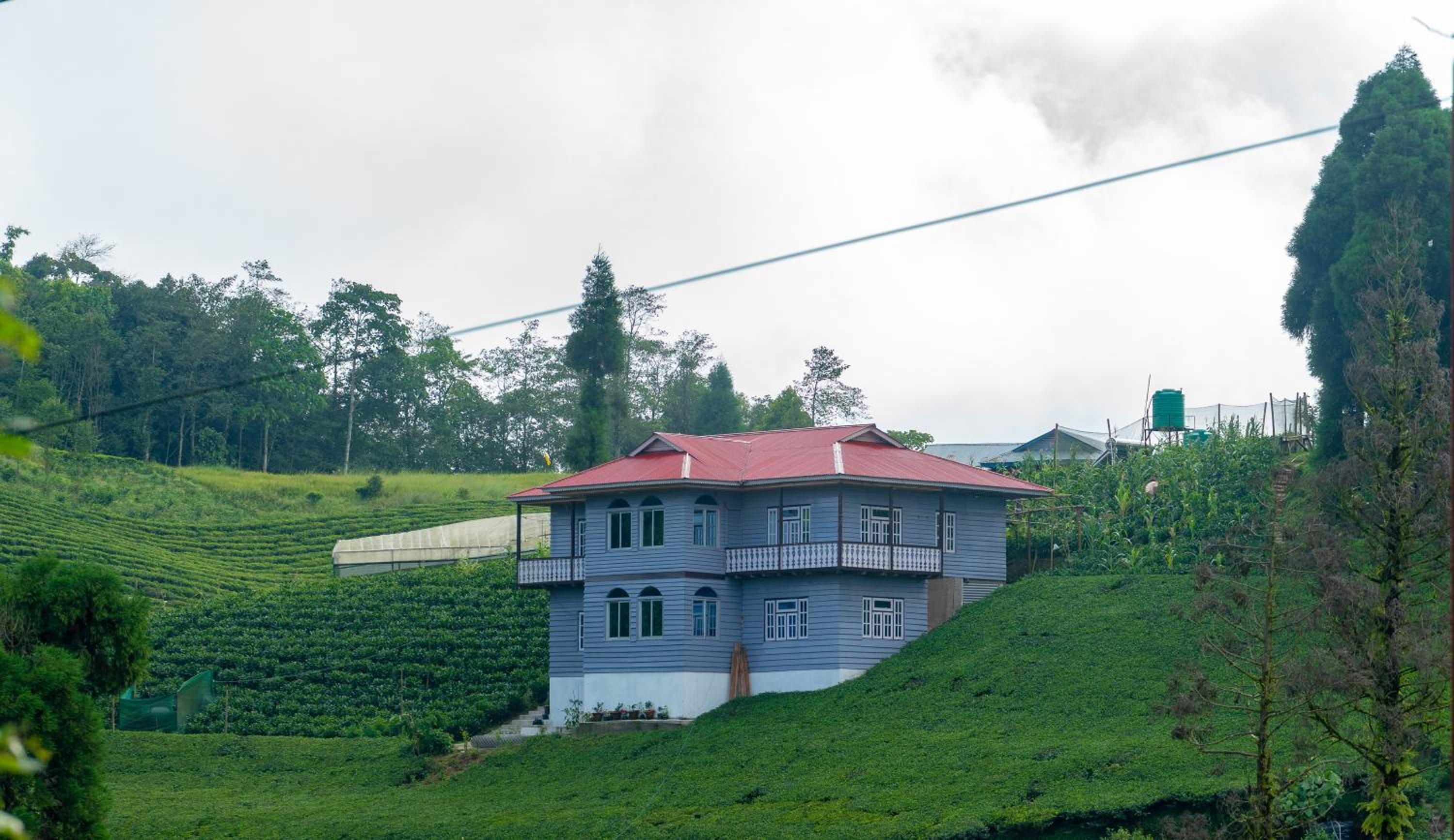 The Ridge Homestay view 5