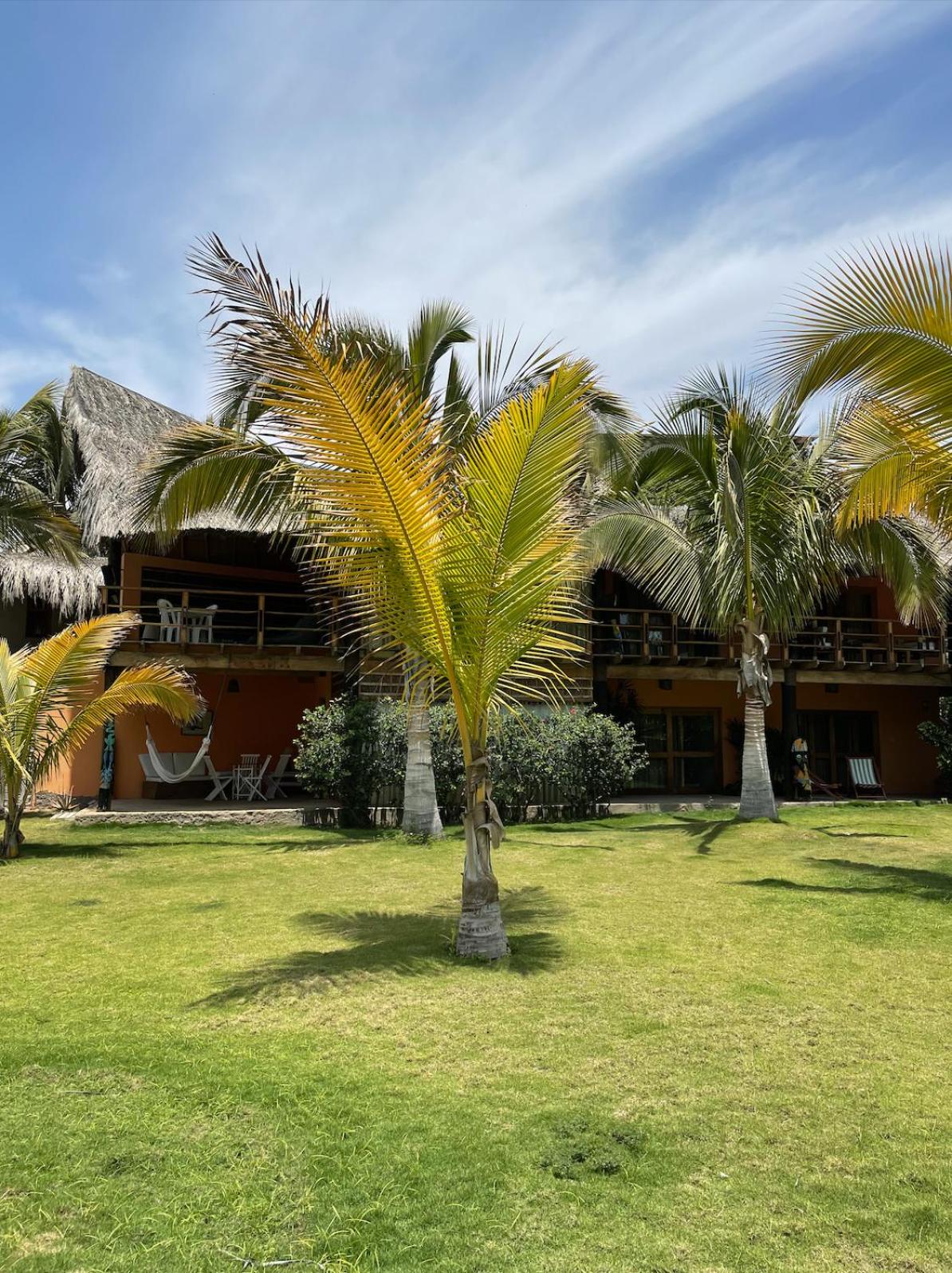 La Casa de Pitty