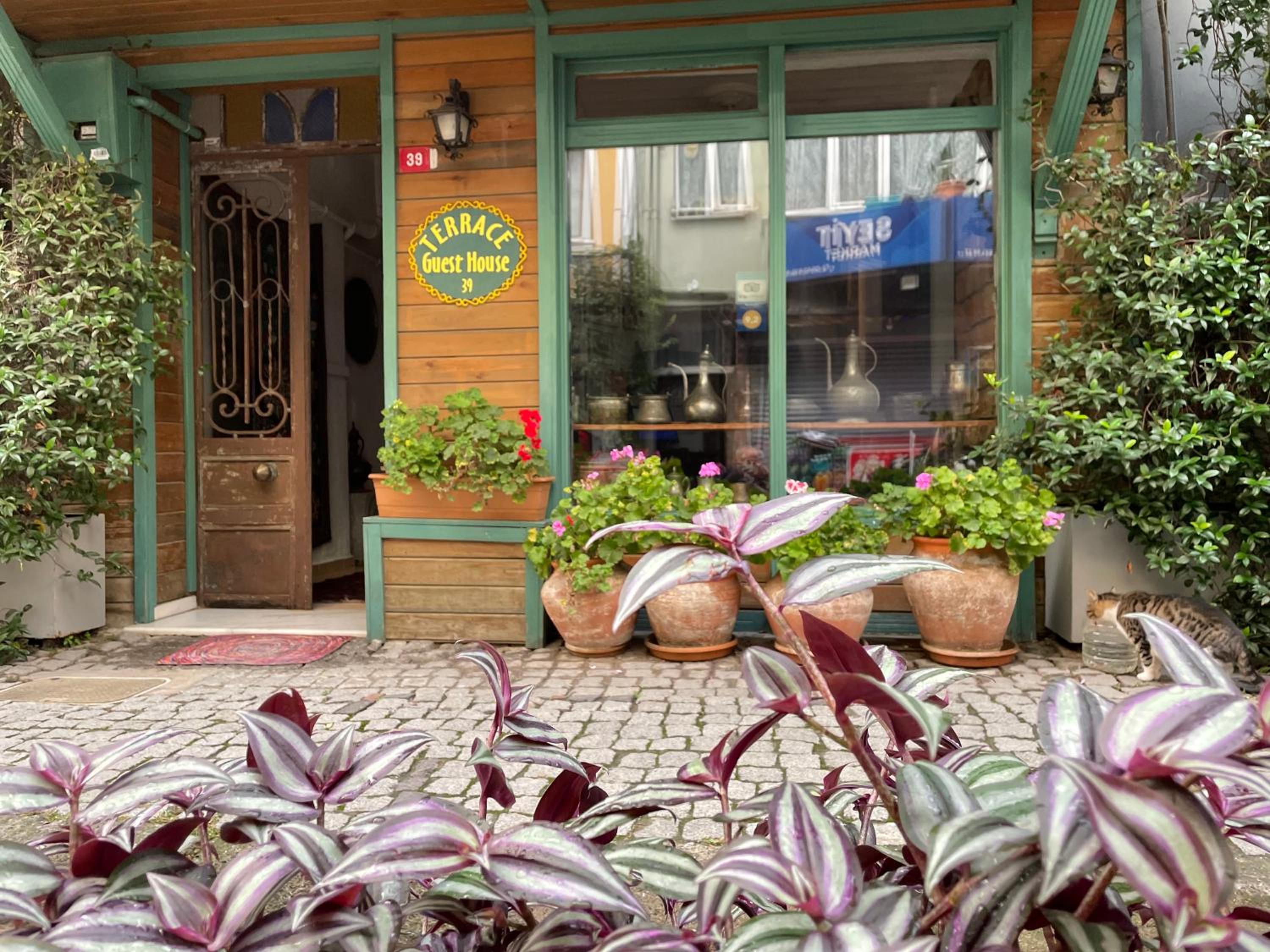 Terrace Guesthouse