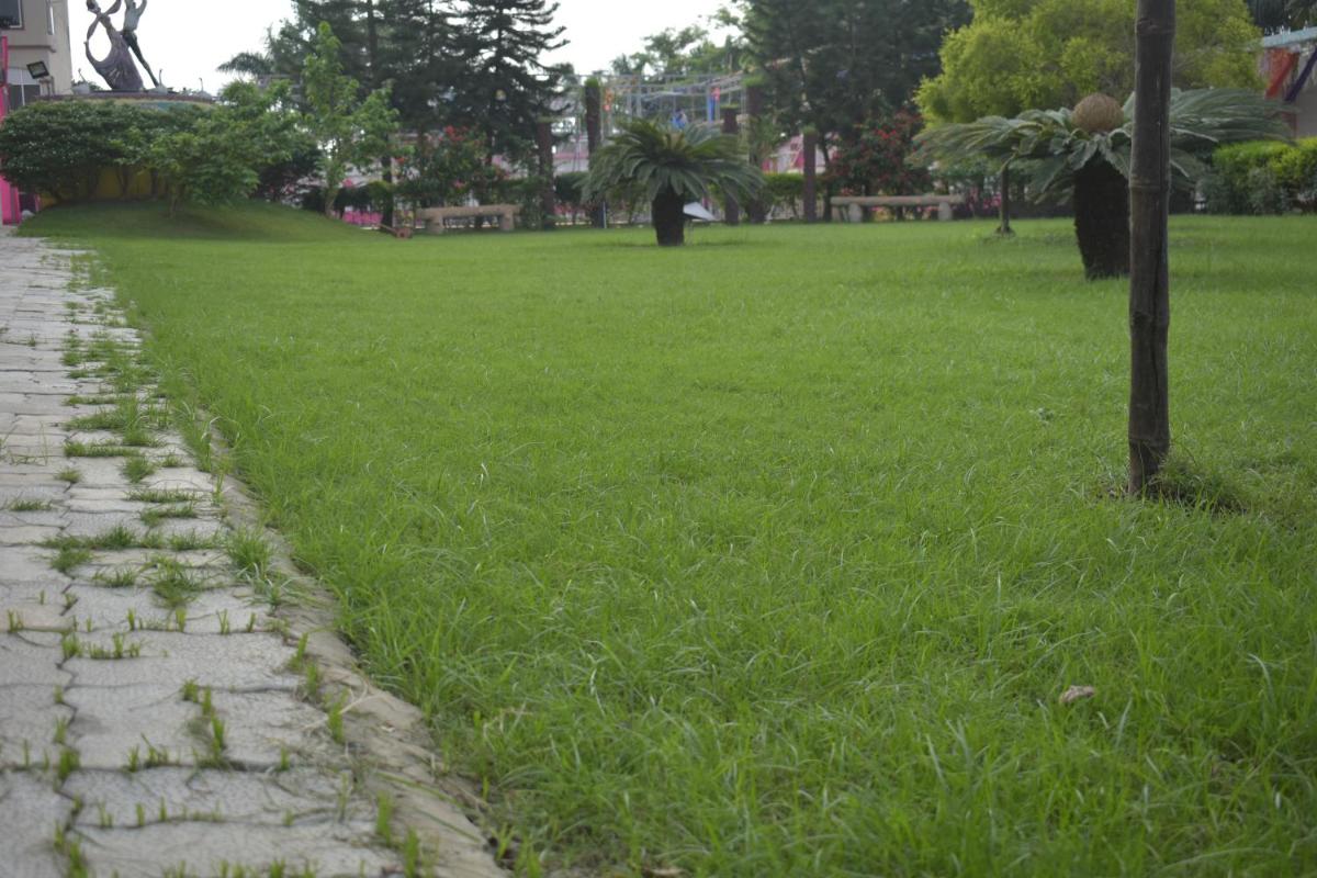 children's play area