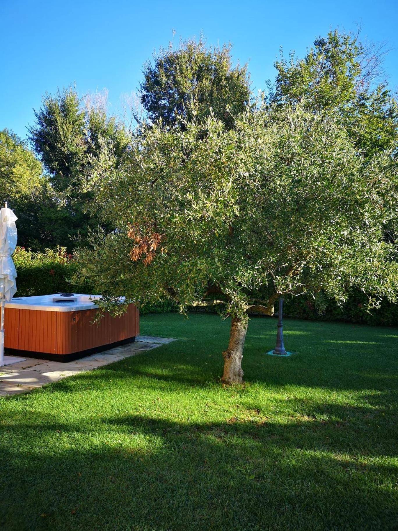 Montenovo Country House view 5