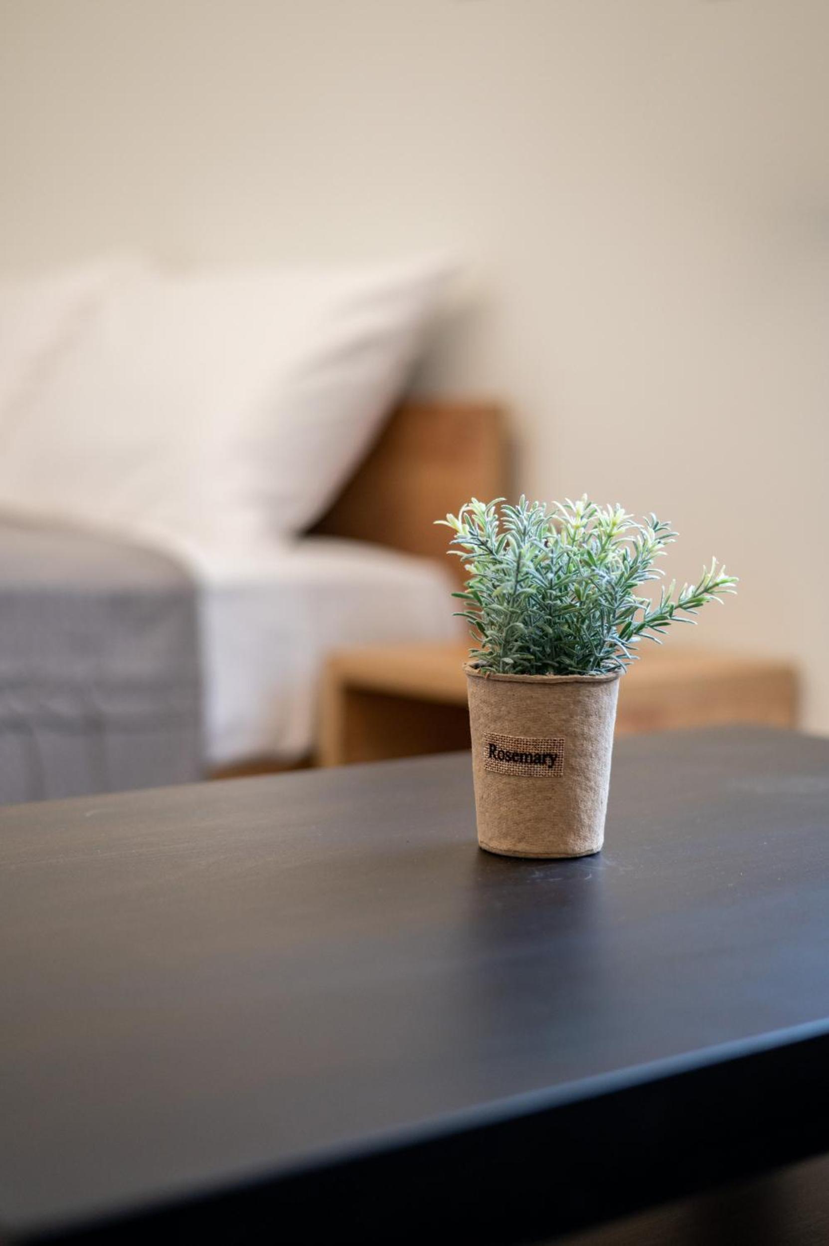 Blue Riviera villas & suites - Alimos 2