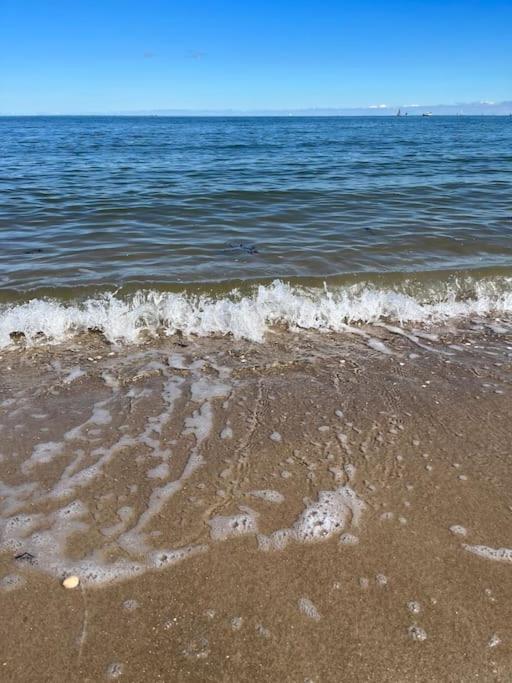 Hausboot Fritz im Wangermeer