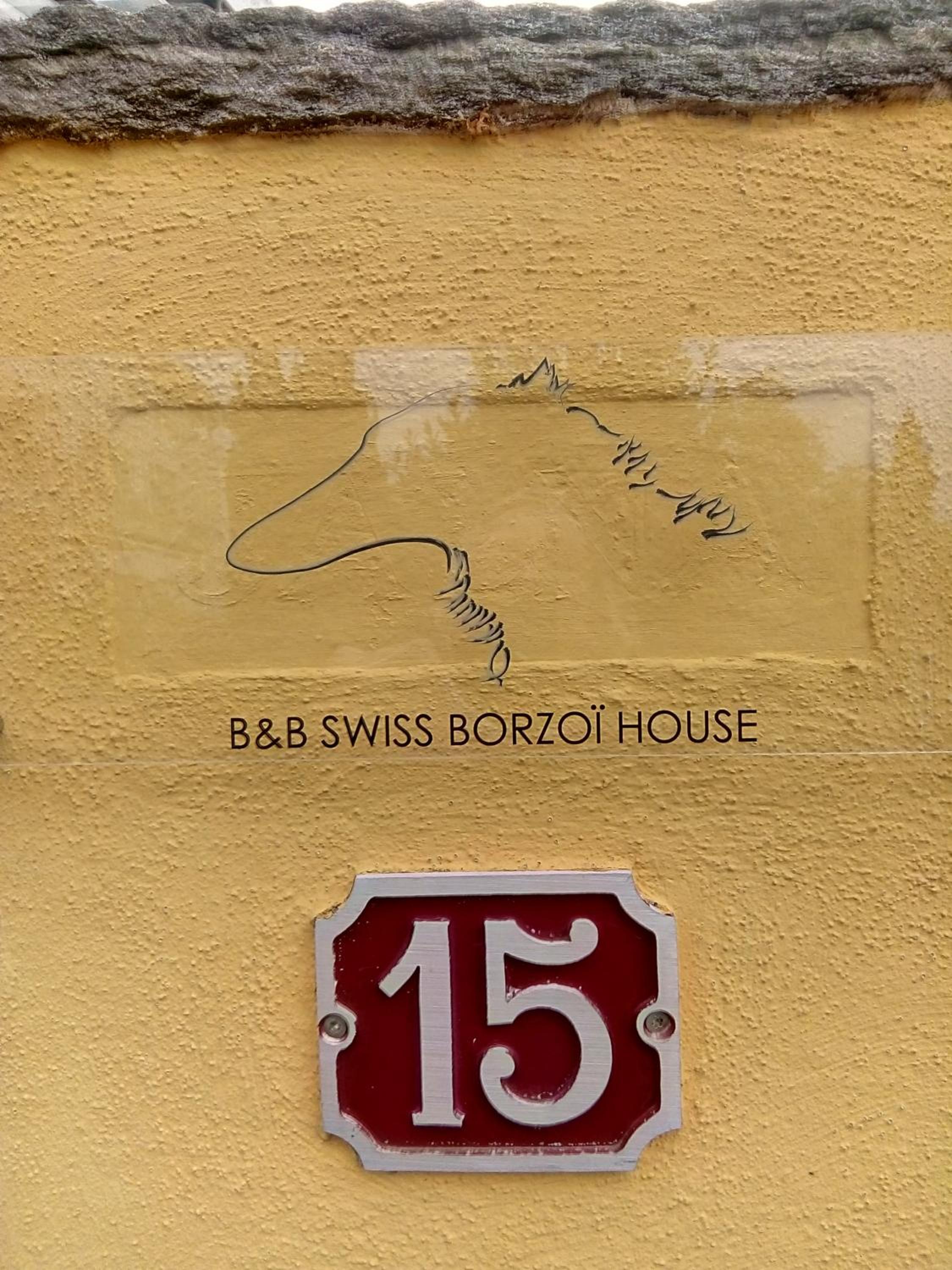 Swiss Borzoi House