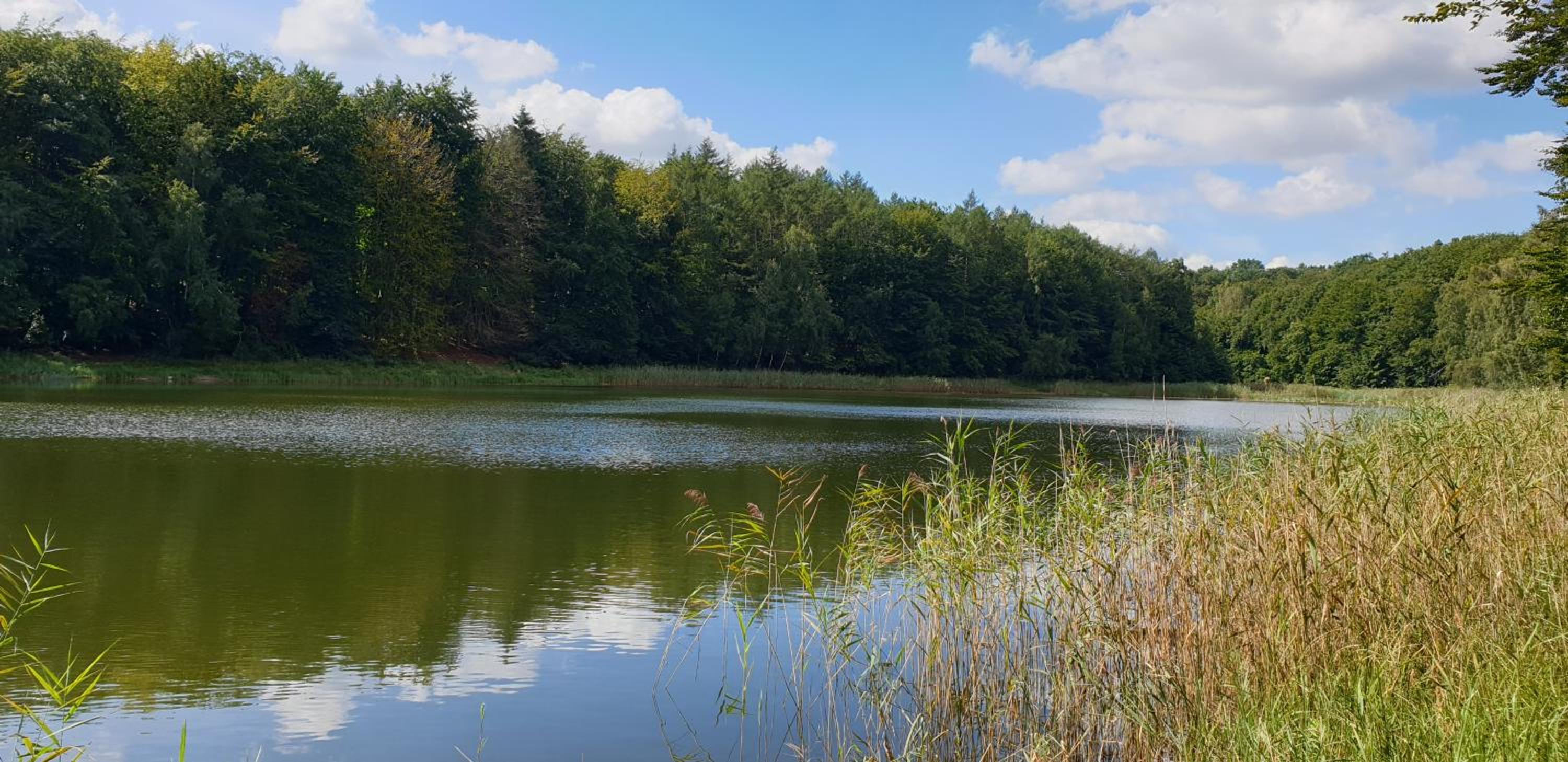 Haus an der Pferdekoppel am Blankenburger See