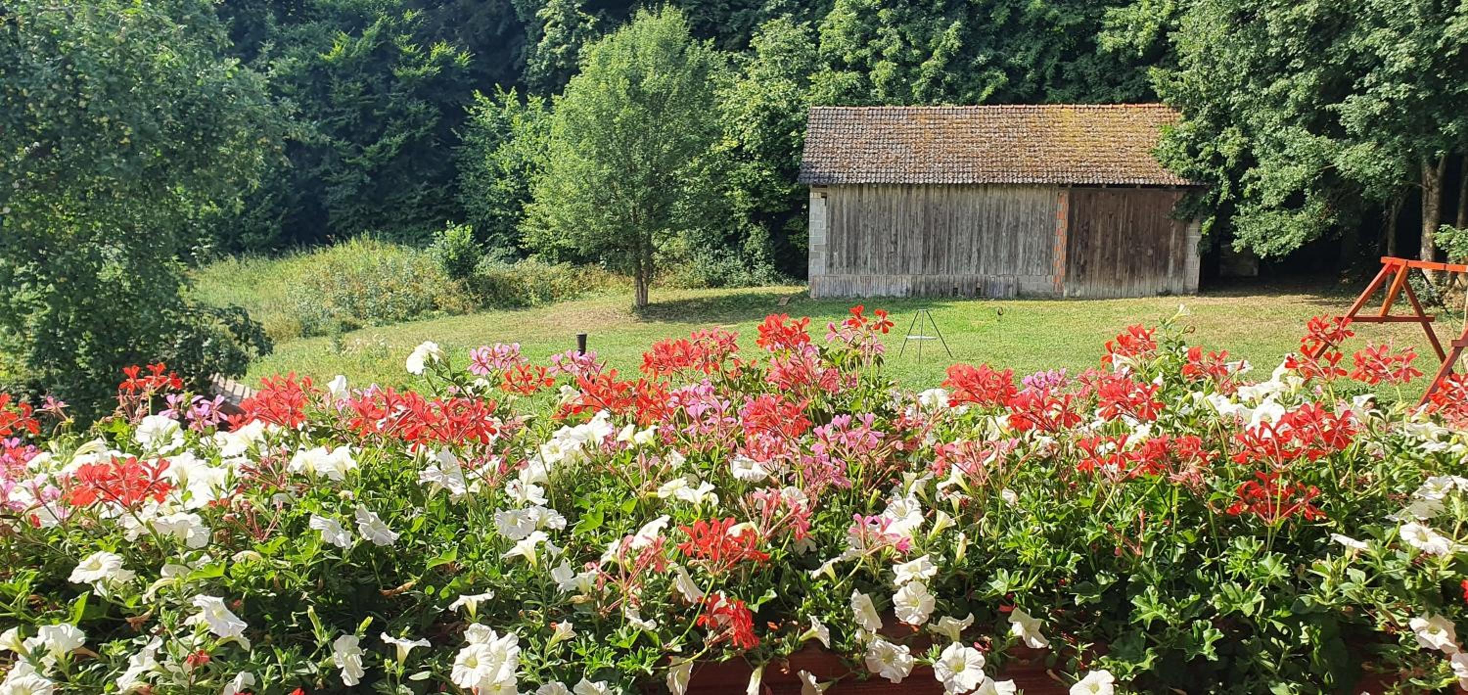 Gasthaus Zum Schneider