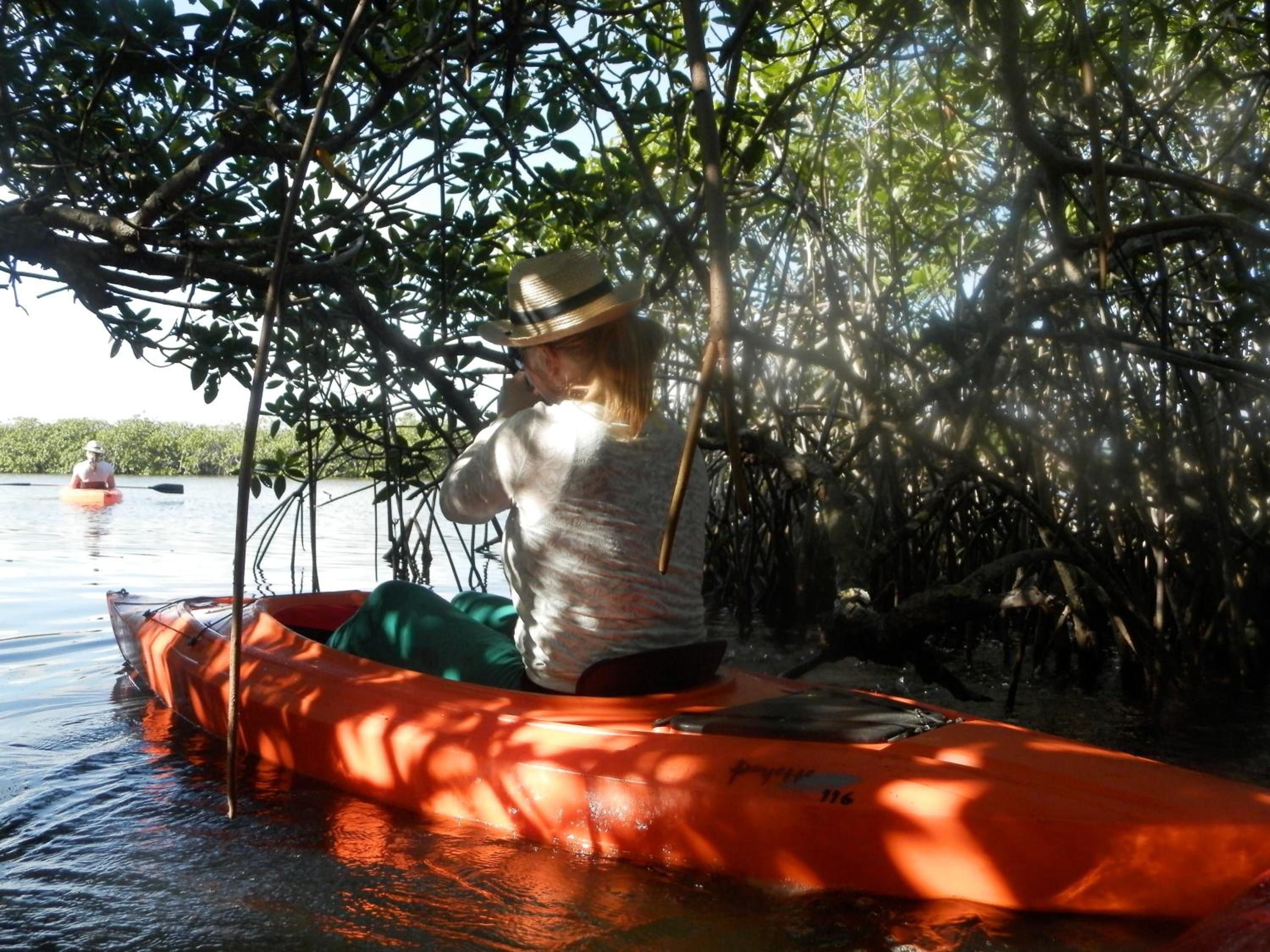 Palmento Grove Garifuna Eco-Cultural & Healing Institute
