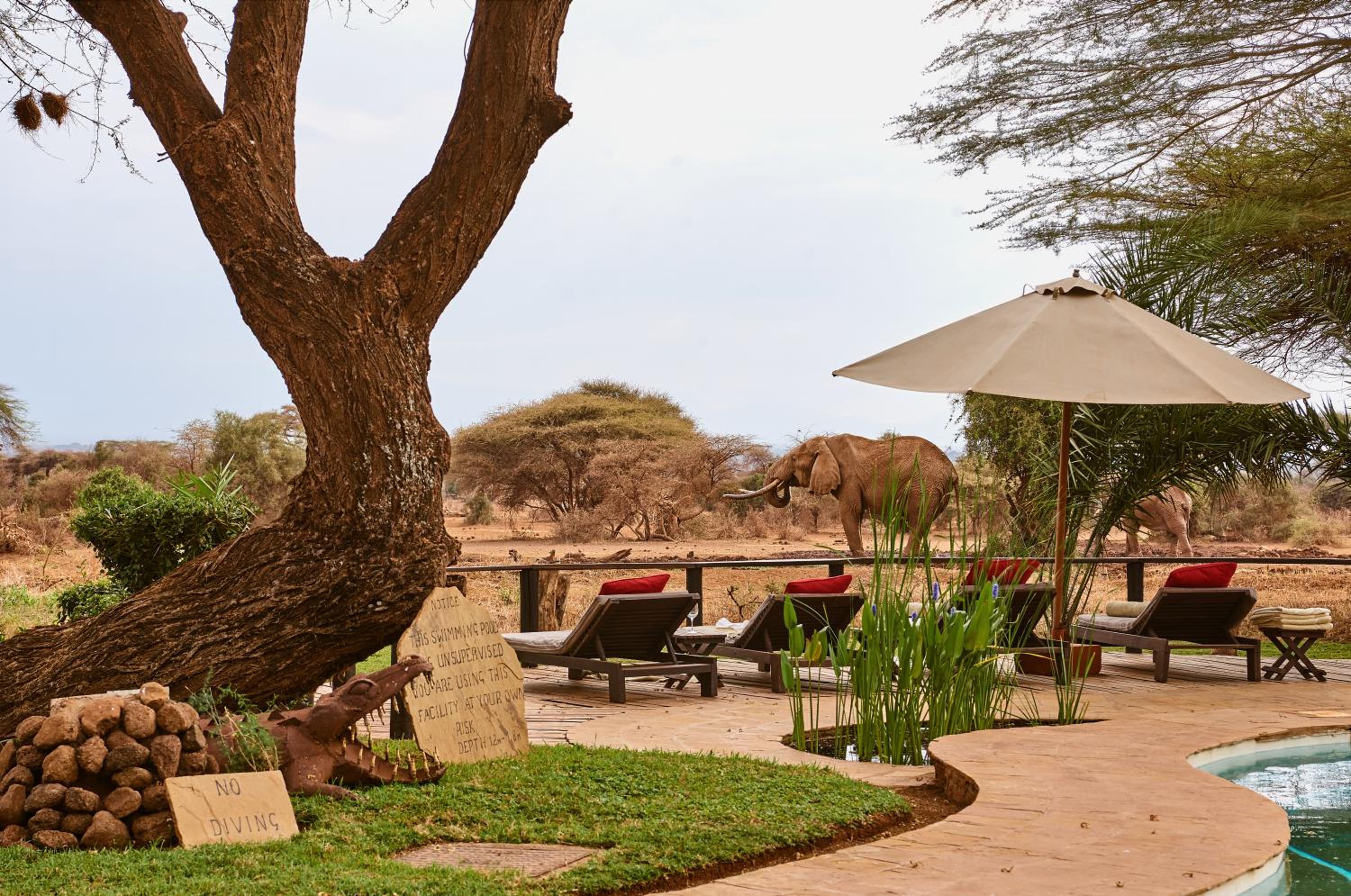 Tawi Lodge