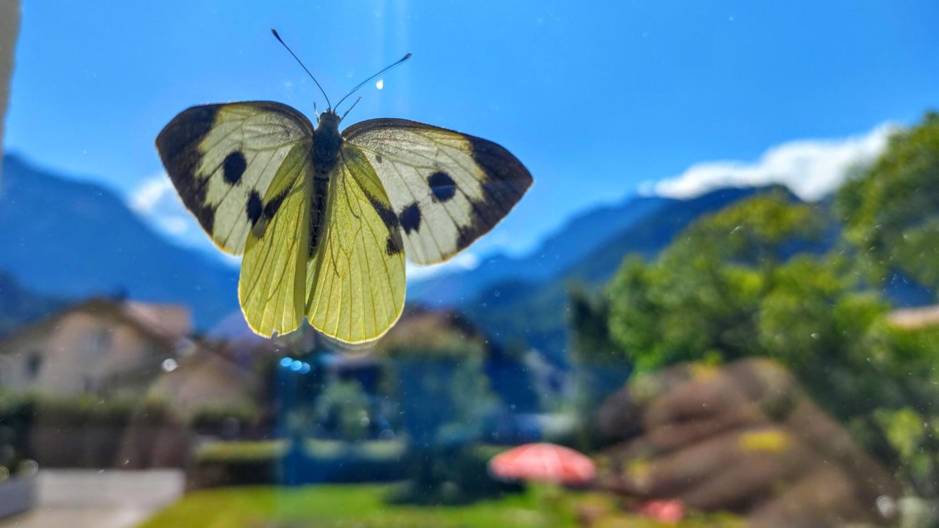 Adventure Vandrarhem Interlaken, Bild 144