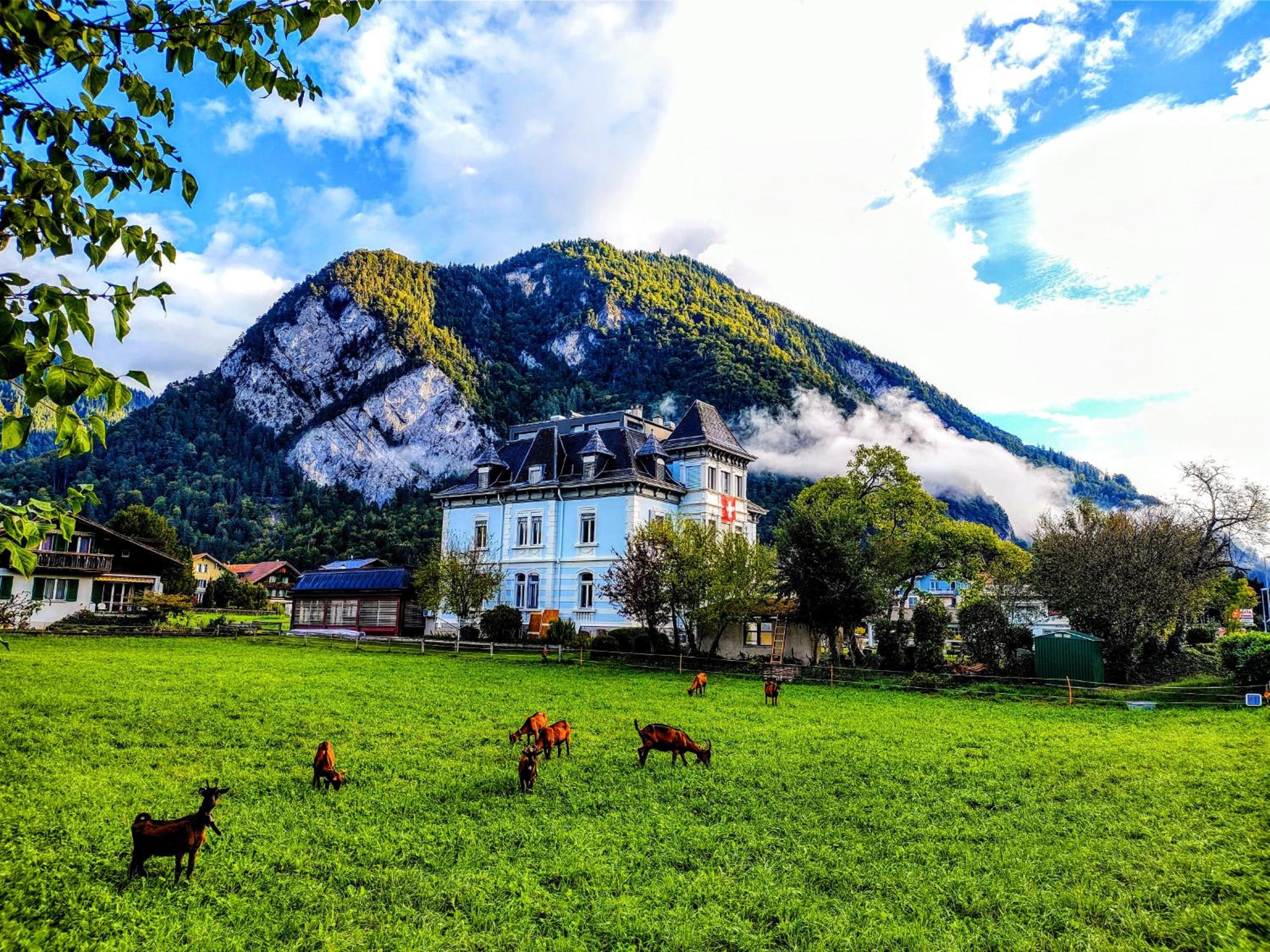Adventure Vandrarhem Interlaken, Bild 107