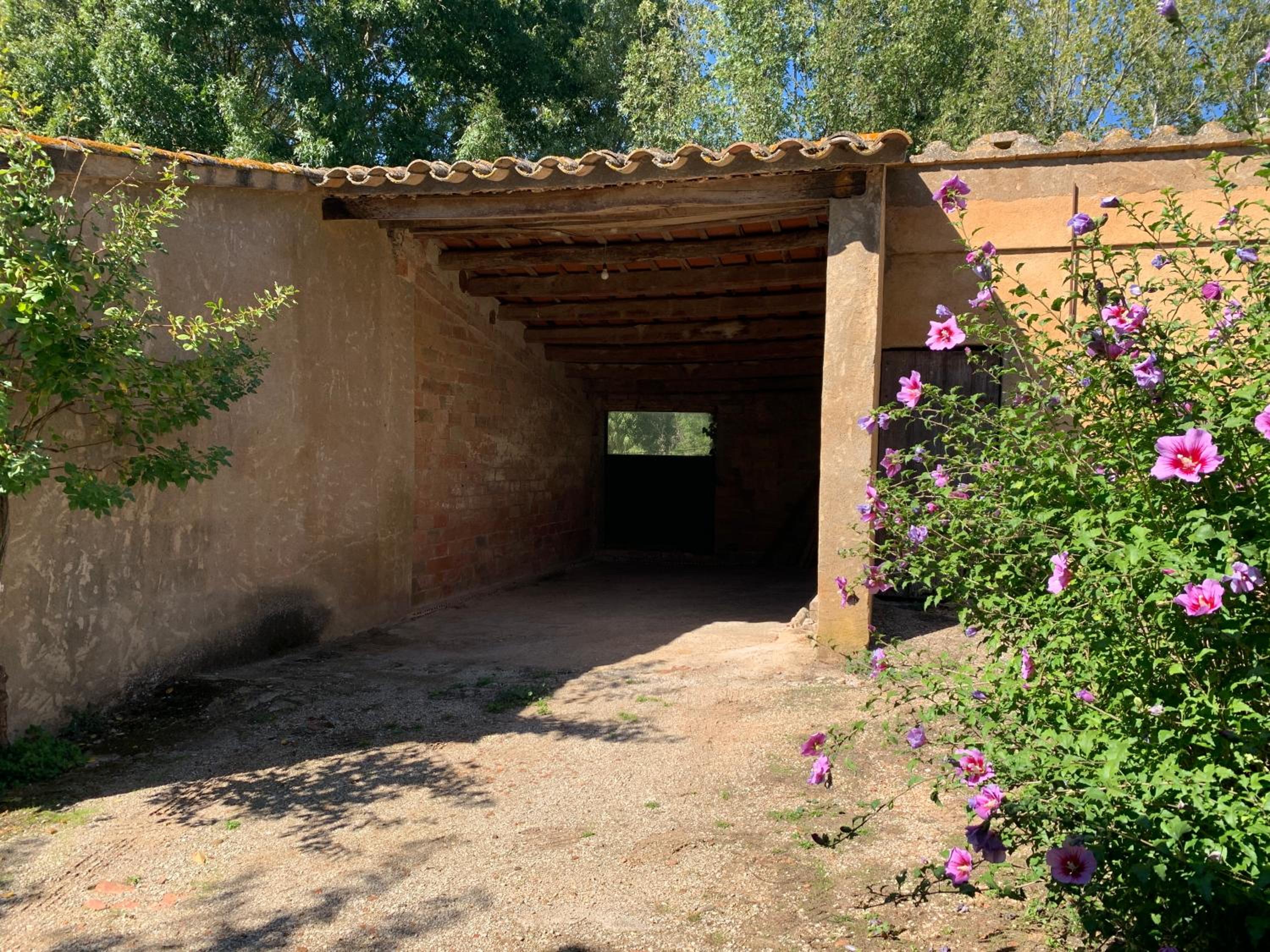 Photo 16