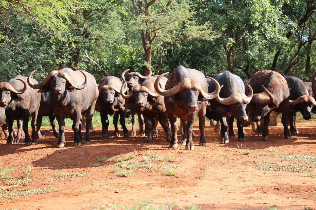 Kilima Private Game Reserve & Spa