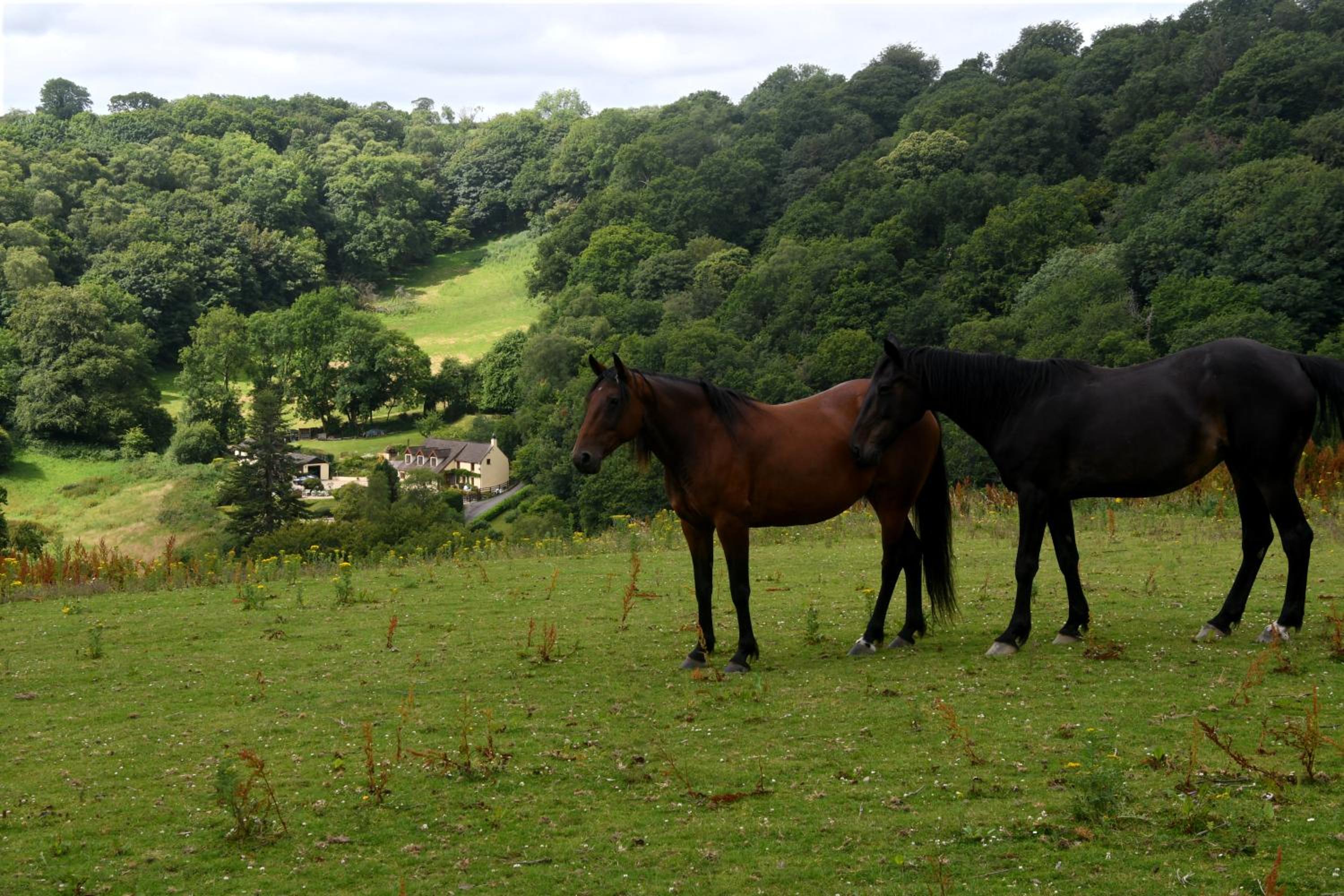 Ty Twt - complete holiday home view 3