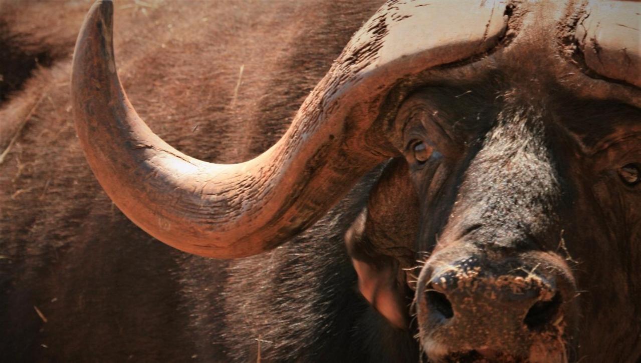 Kilima Private Game Reserve & Spa