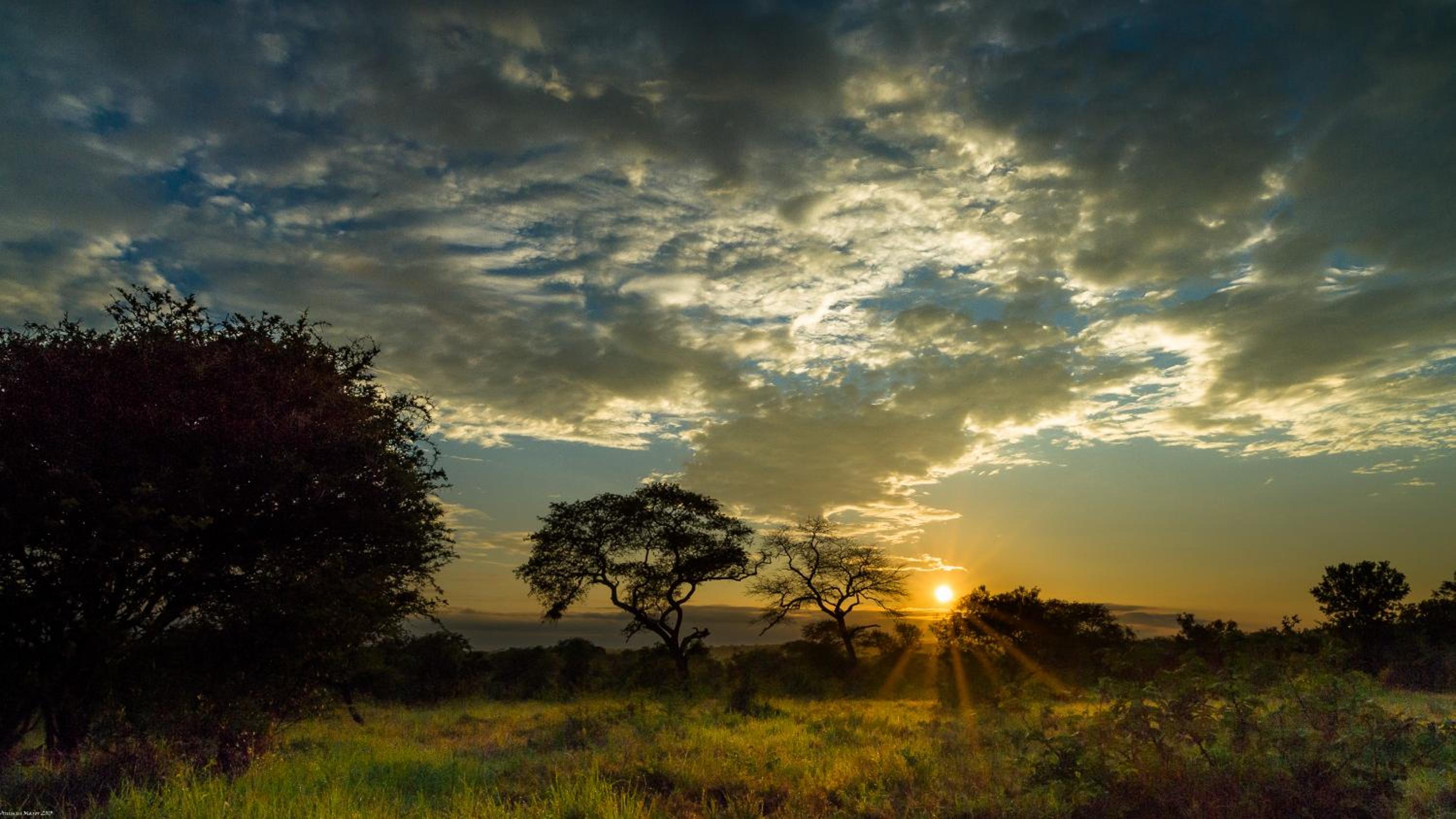 Kilima Private Game Reserve & Spa