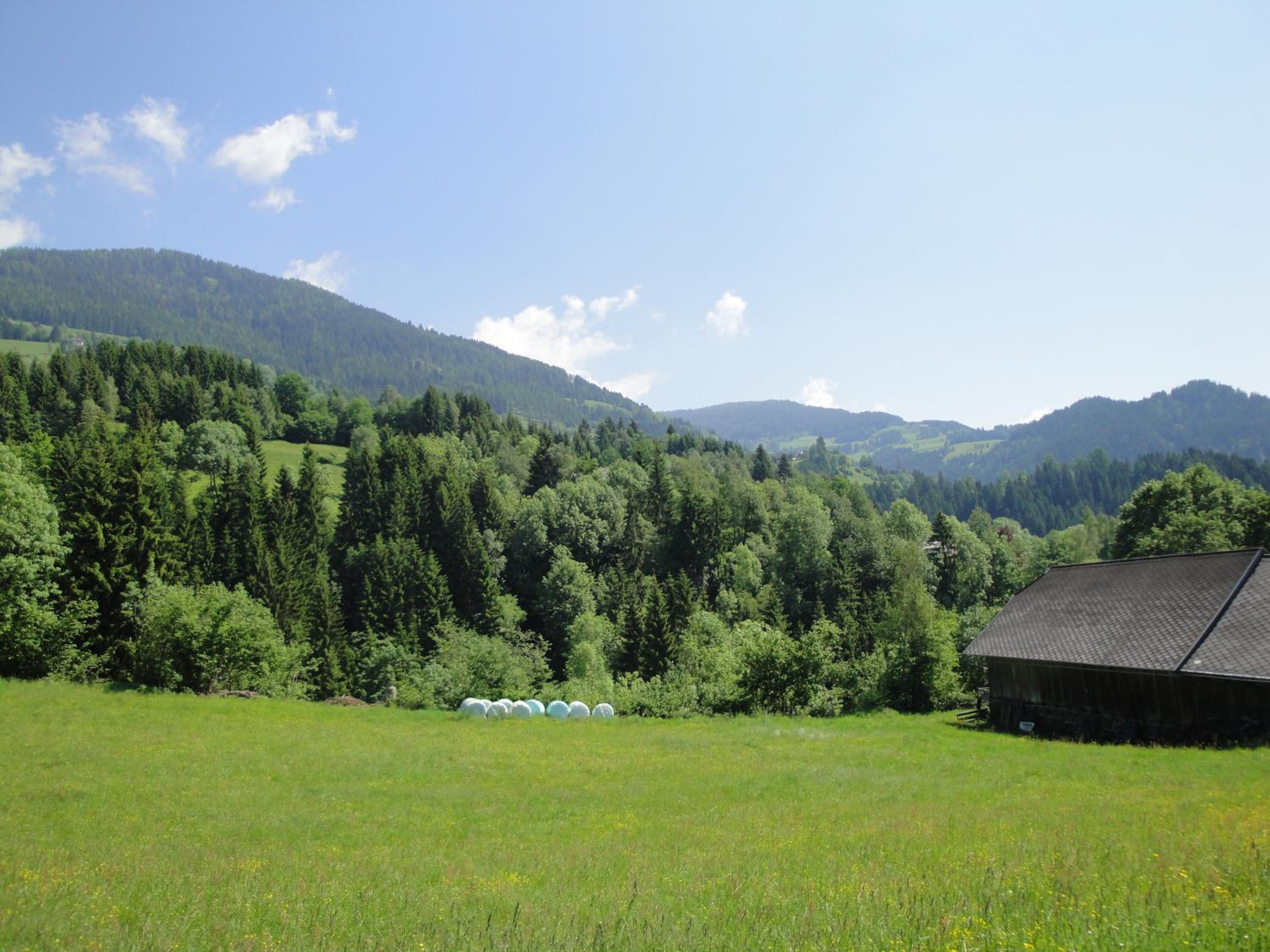 Kärnten Card inkludiert - Apartments nahe Bad Kleinkirchheim