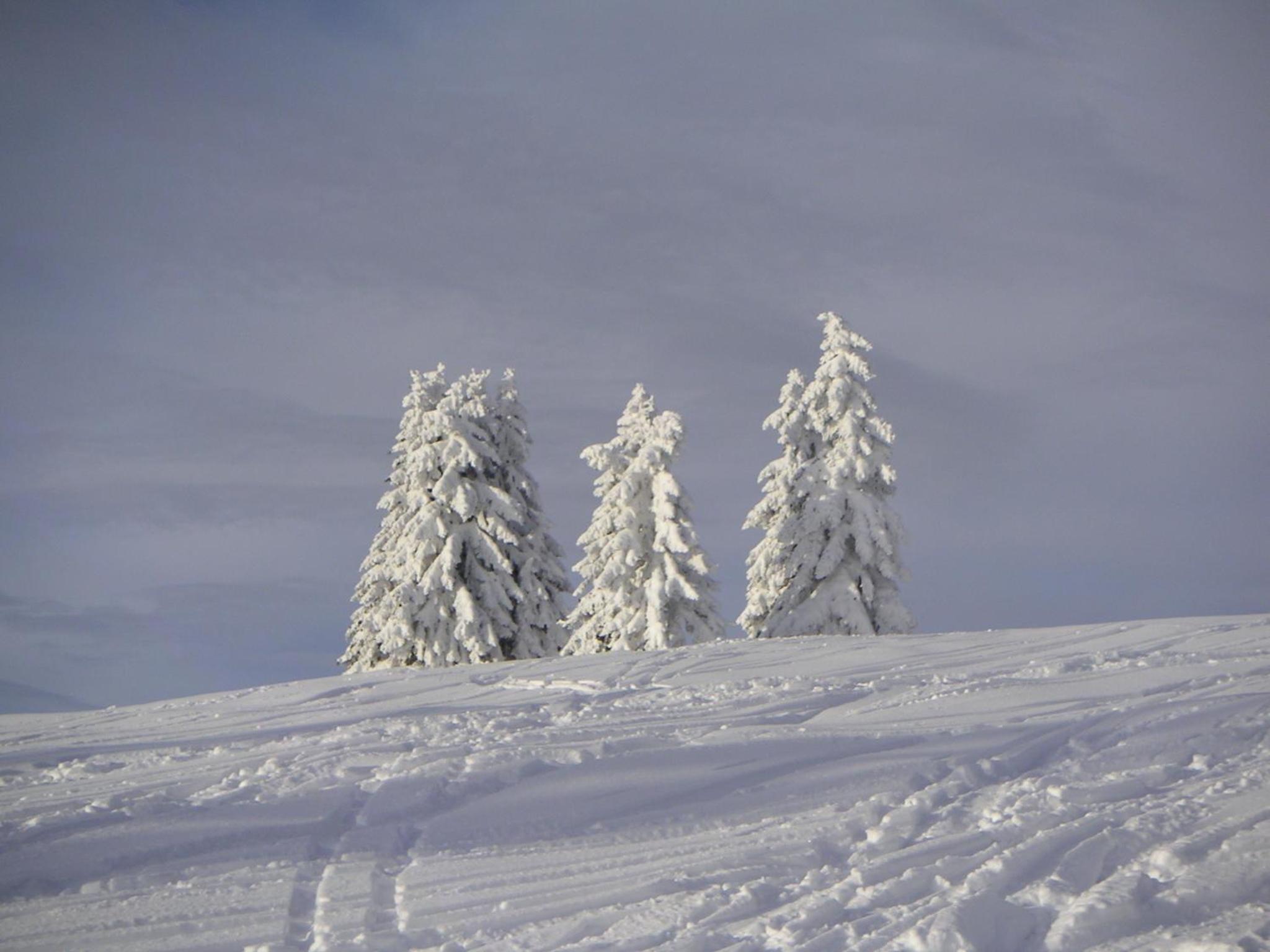 Kärnten Card inkludiert - Apartments nahe Bad Kleinkirchheim