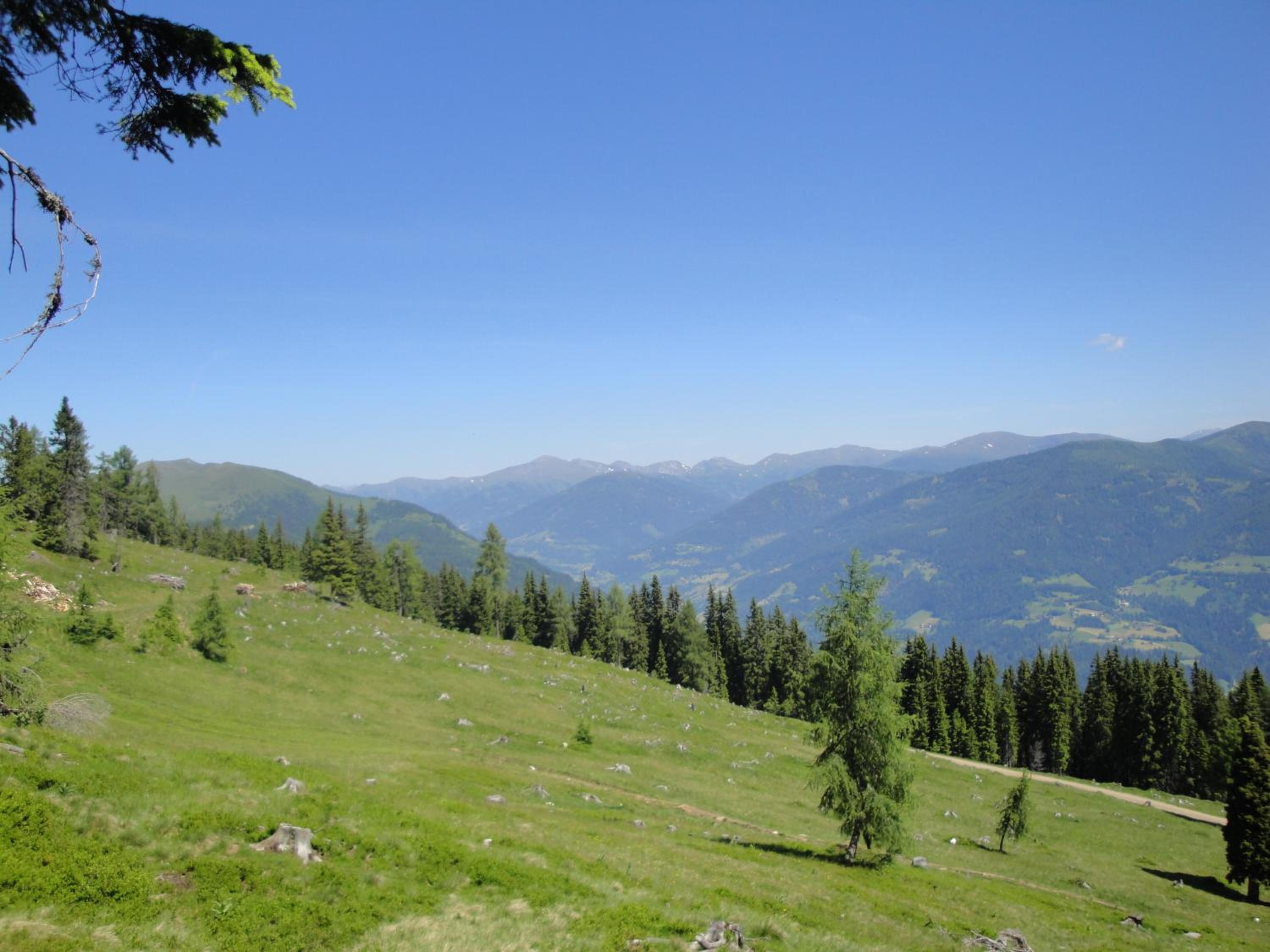 Kärnten Card inkludiert - Apartments nahe Bad Kleinkirchheim