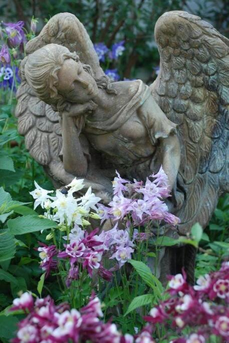 Fairy Hill Sanctuary