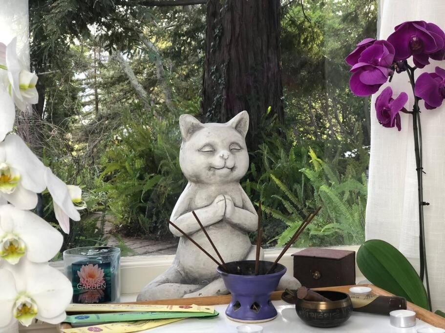 Fairy Hill Sanctuary