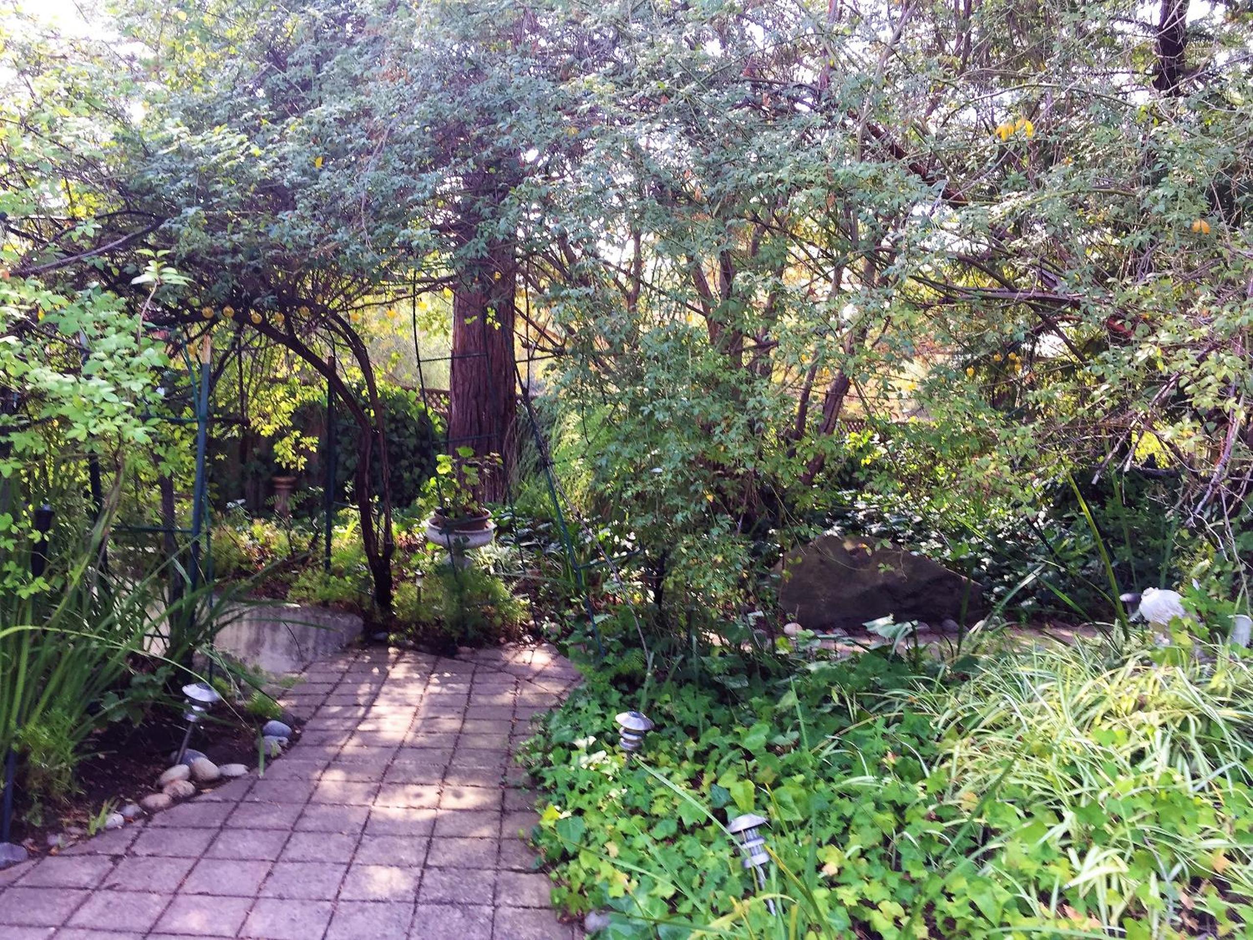 Fairy Hill Sanctuary