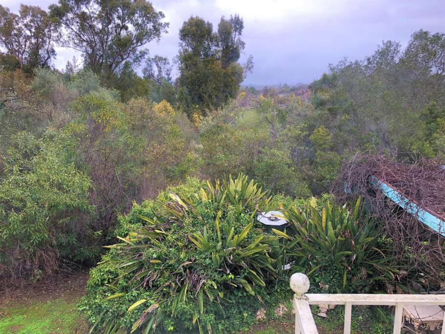 Fairy Hill Sanctuary