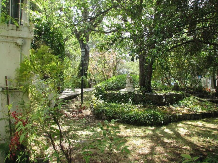 Fairy Hill Sanctuary