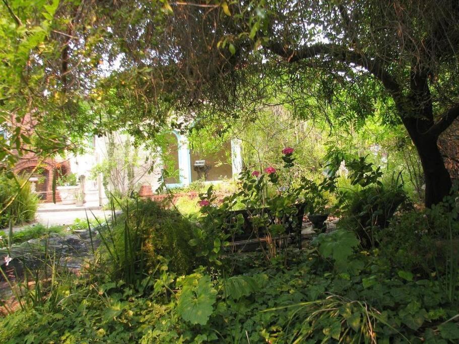 Fairy Hill Sanctuary