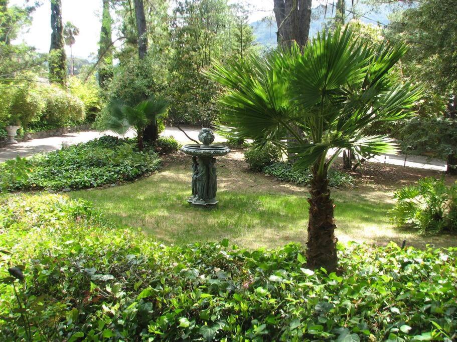 Fairy Hill Sanctuary