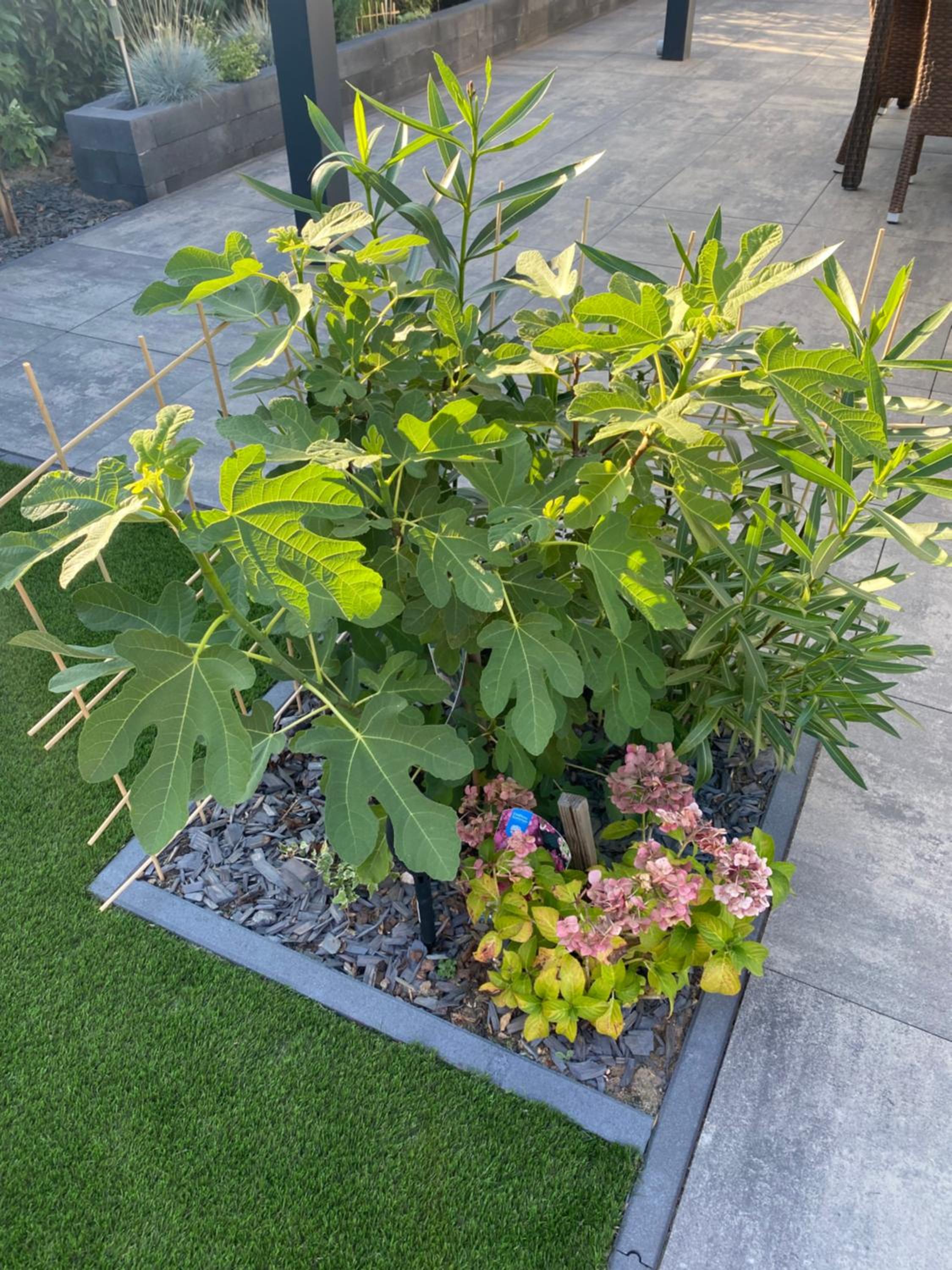 Photo 21