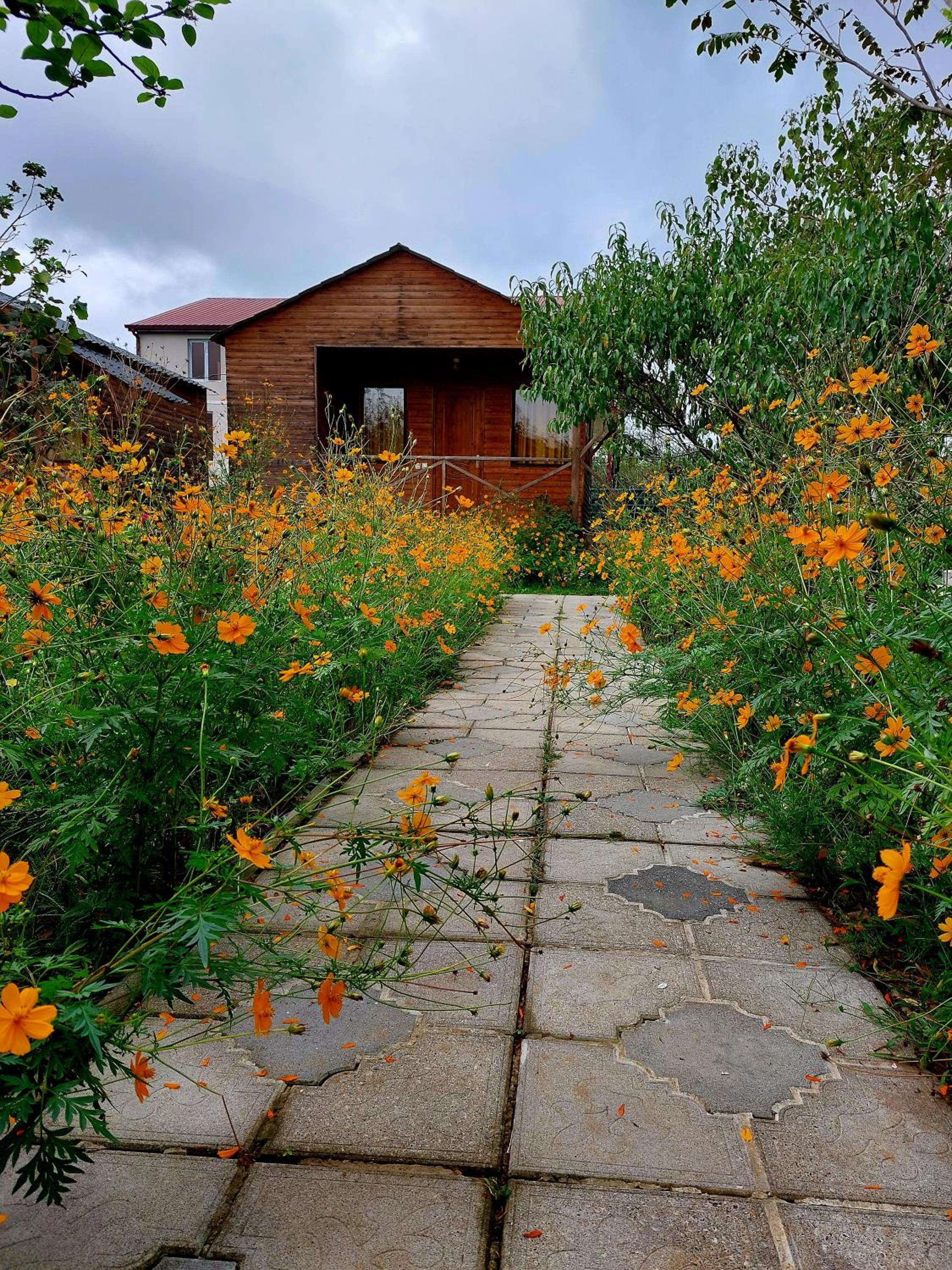 Photo 40