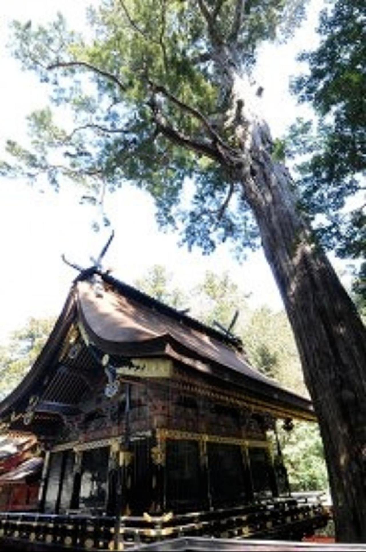 Photo 20