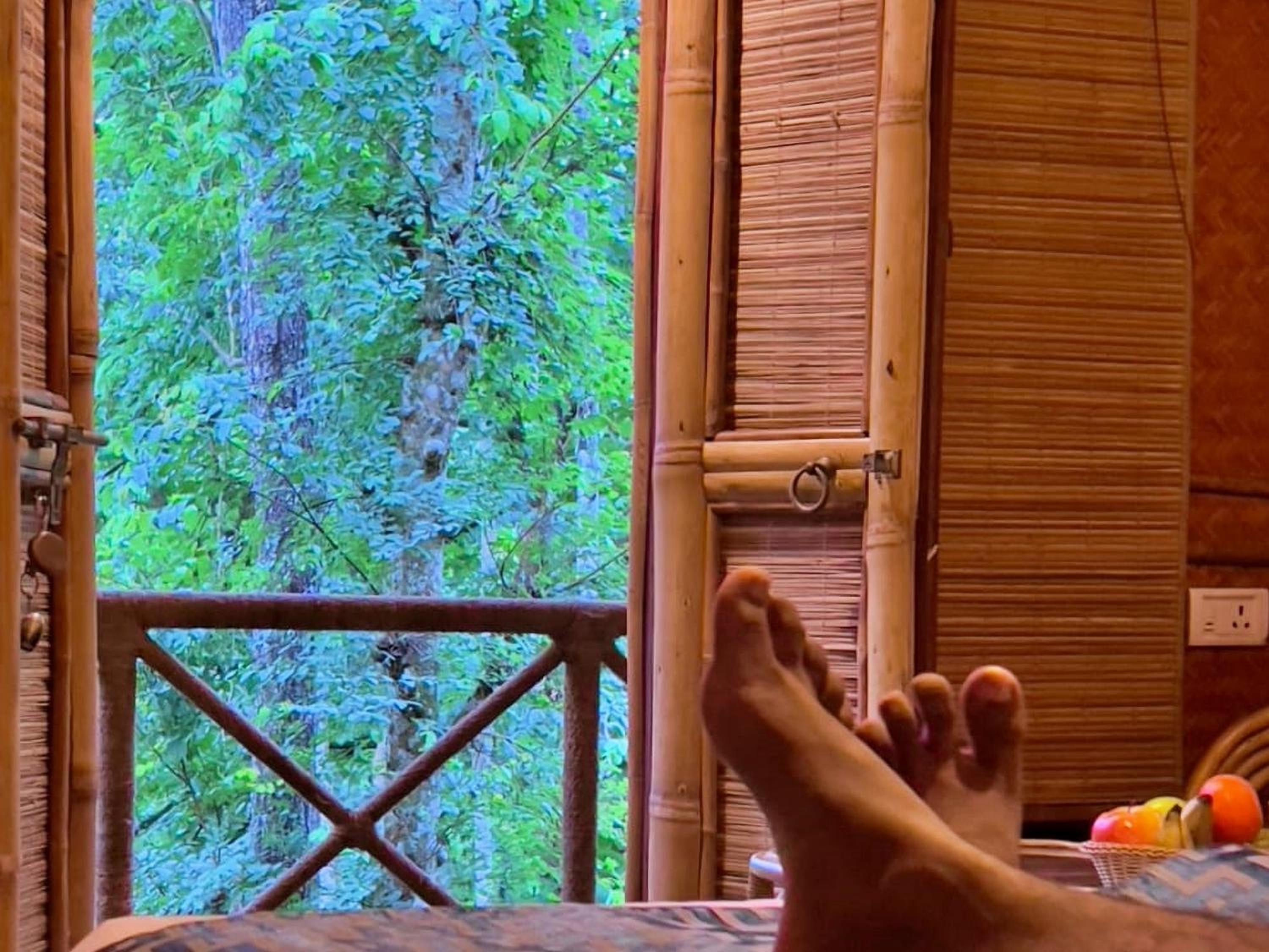 Adrak Mountain Mist Forest Resort view 5