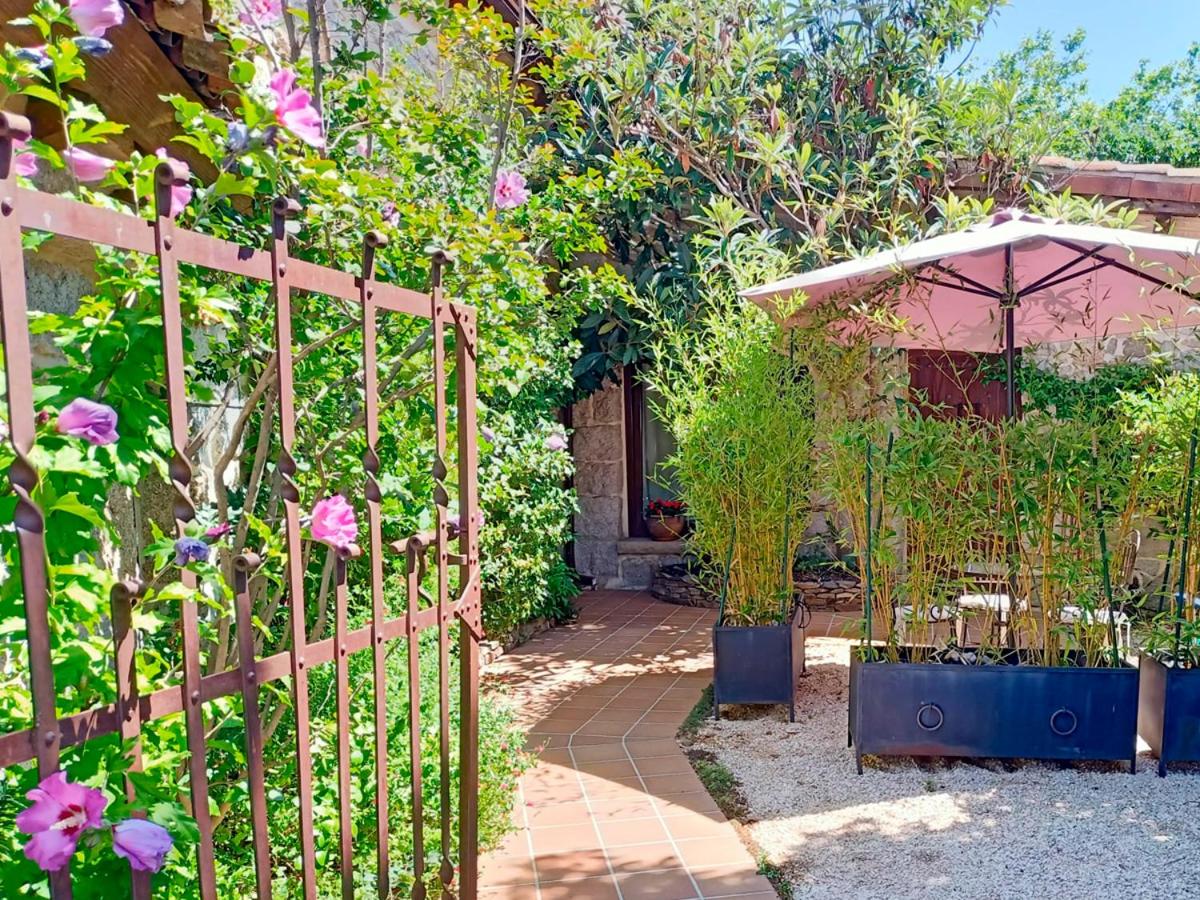 El Patio de Valentina photo 3