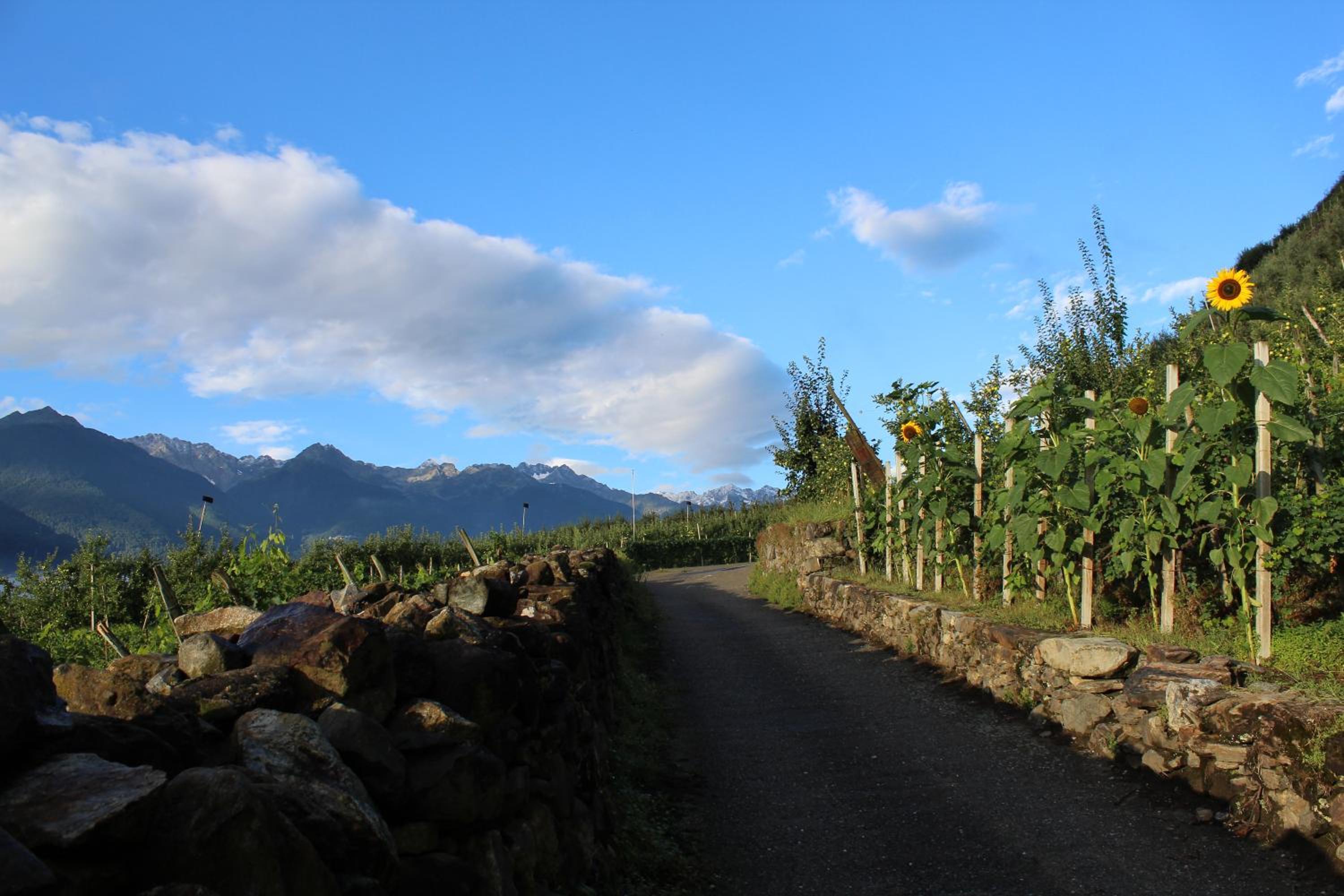 La Vita in Campagna
