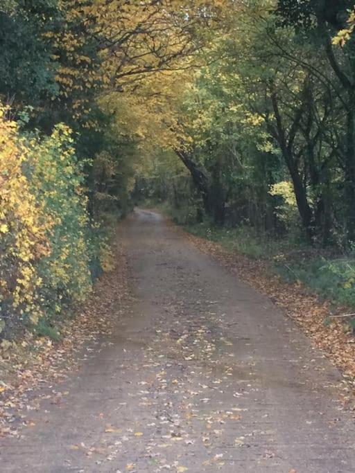 The Piggery, a perfect country hideaway
