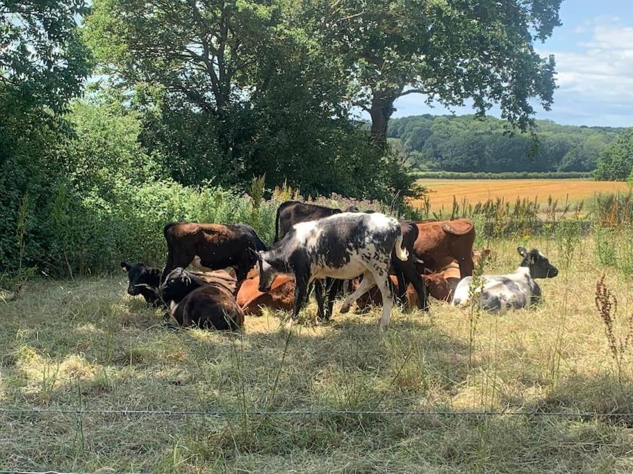 The Piggery, a perfect country hideaway