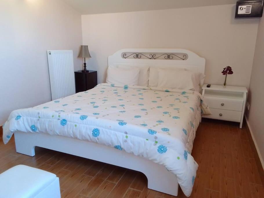 Sofita Di Sofo photo 2