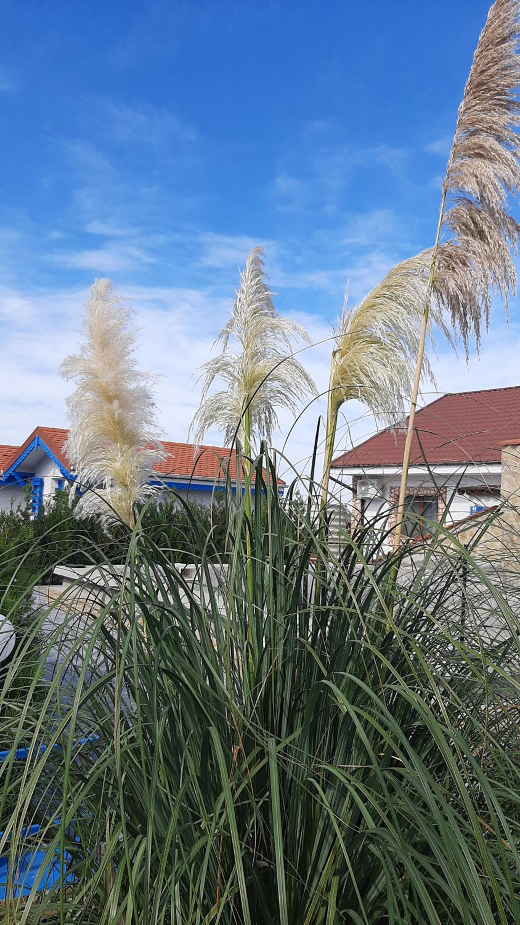 Complex Turistic Essenza view 5