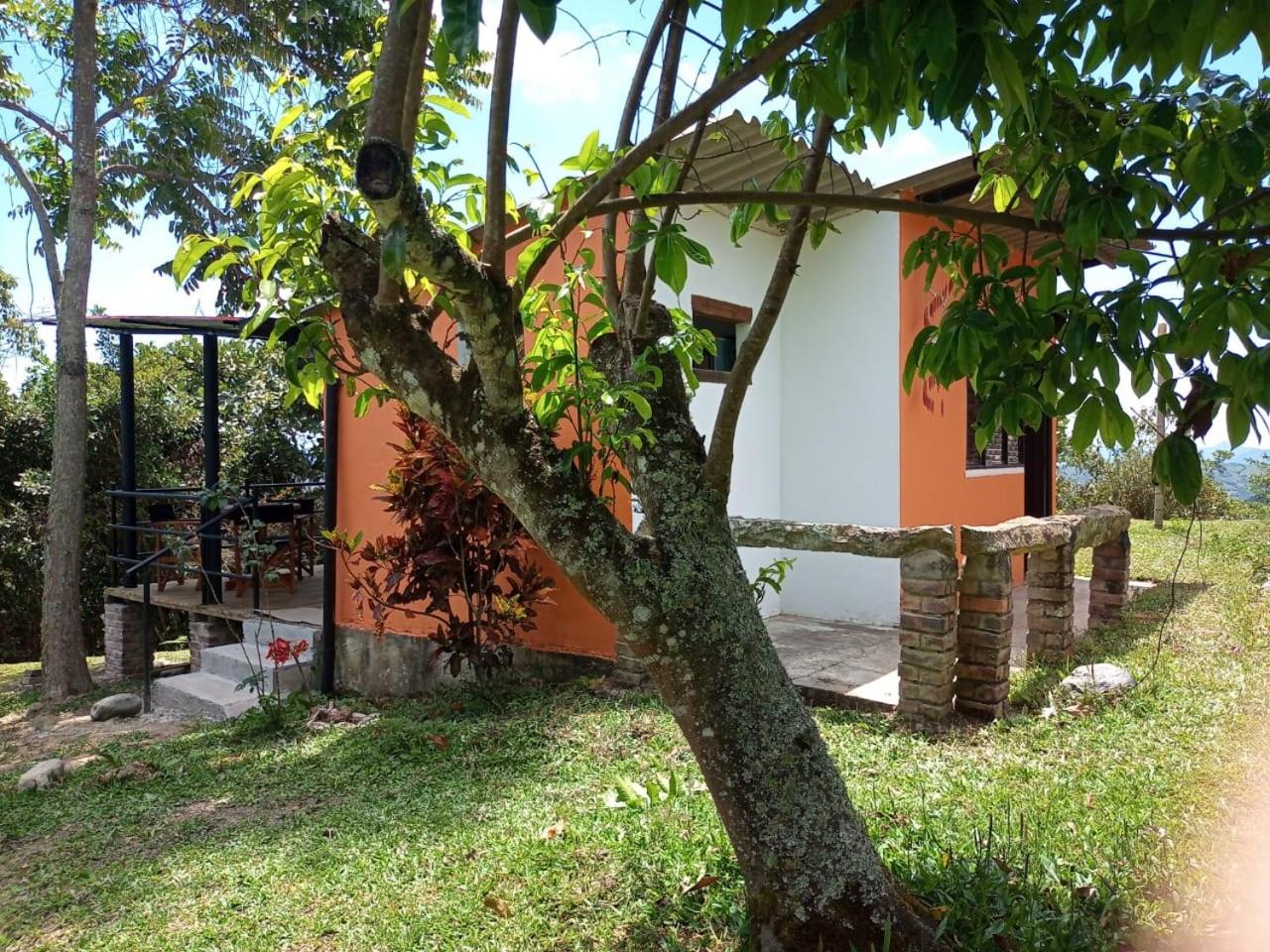 Eco-Cabanas Altozano Nimaima - Property Image 120