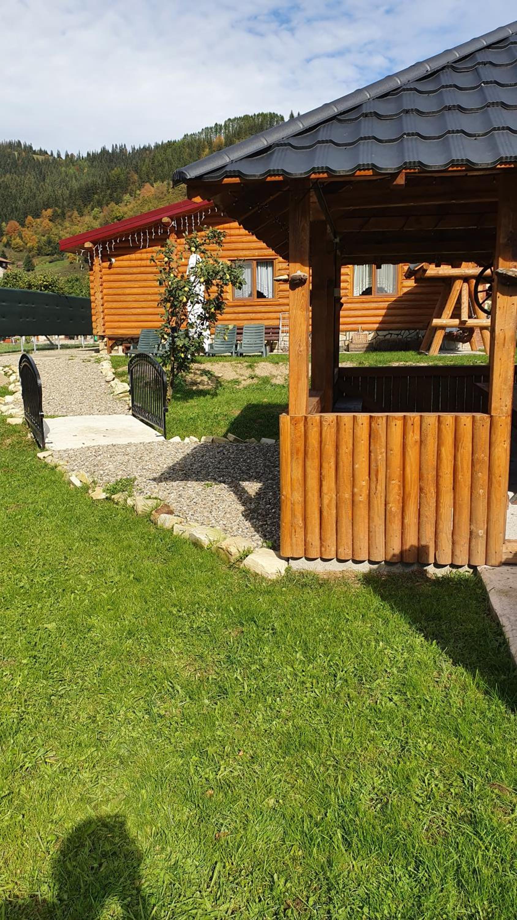 Photo 31