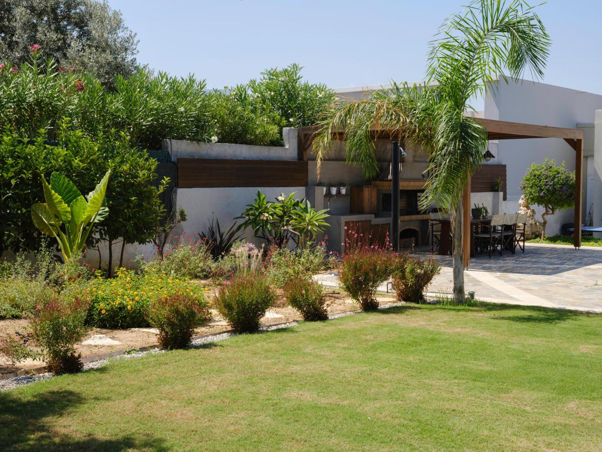 Photo 41