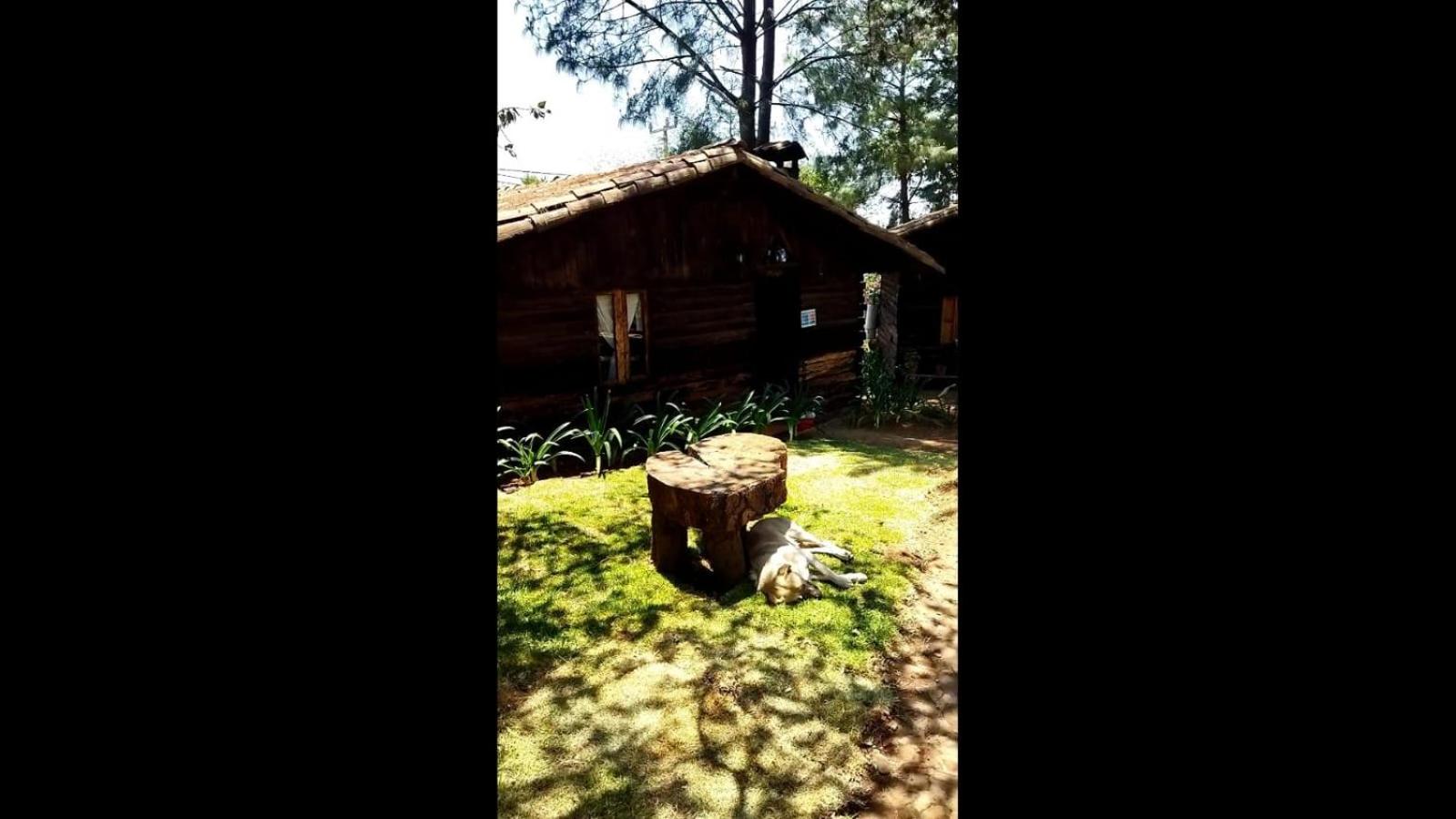 Cabañas los Venados