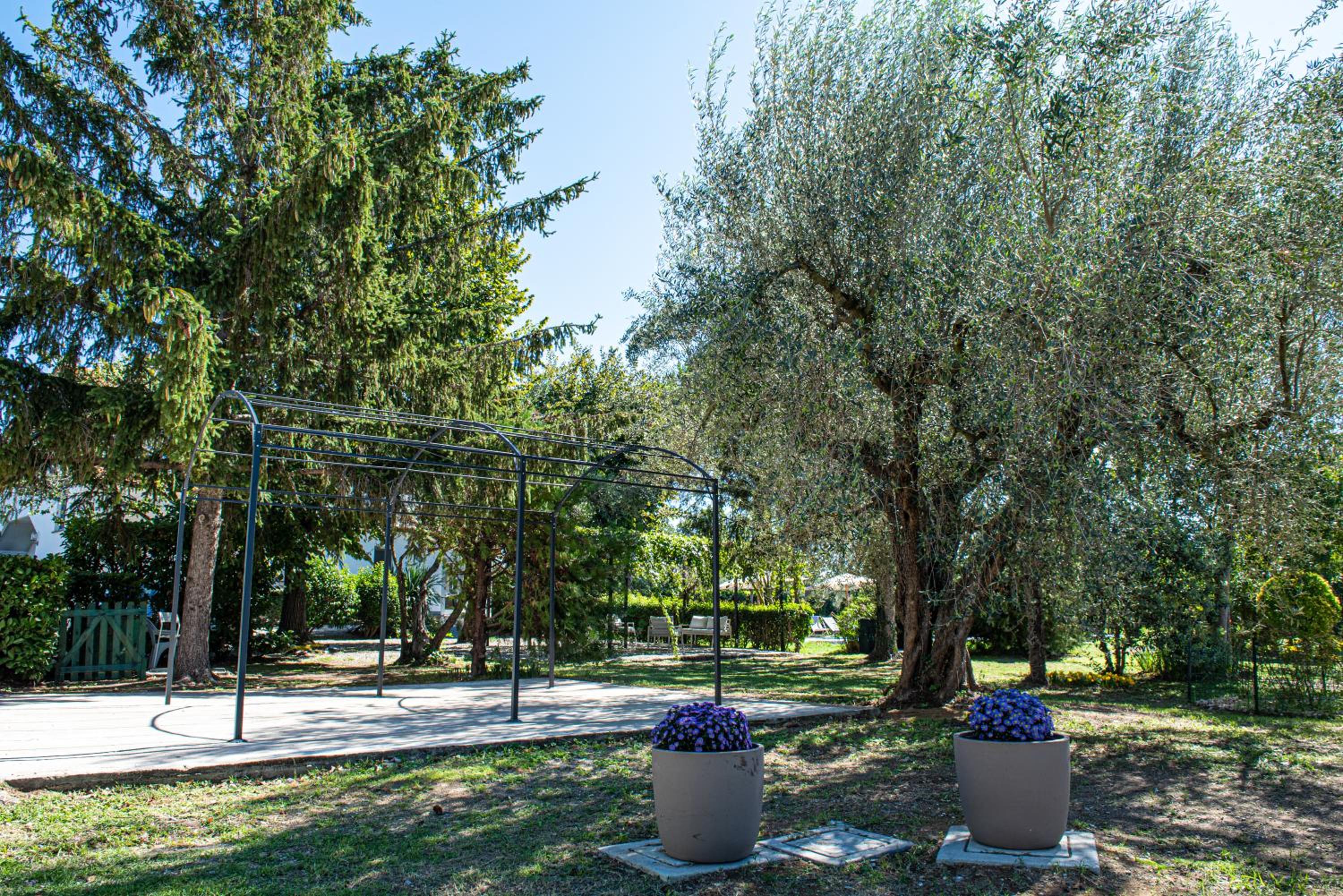 Terre Etrusche Guest House
