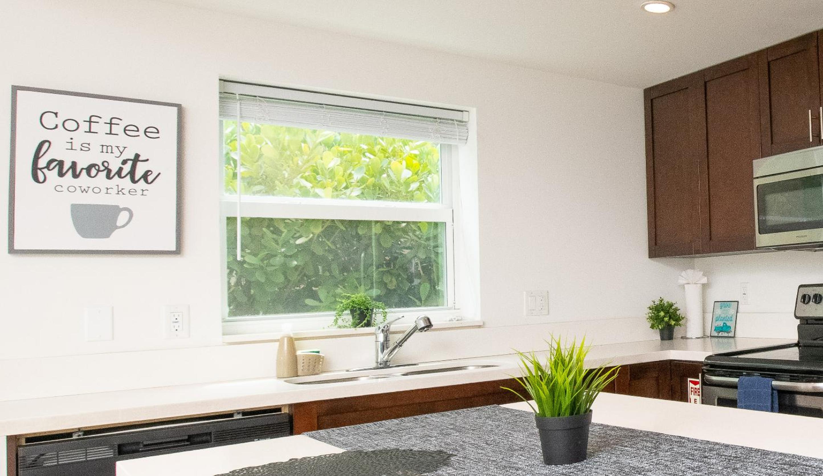 Spacious entire Apartment with Free Parking view 5