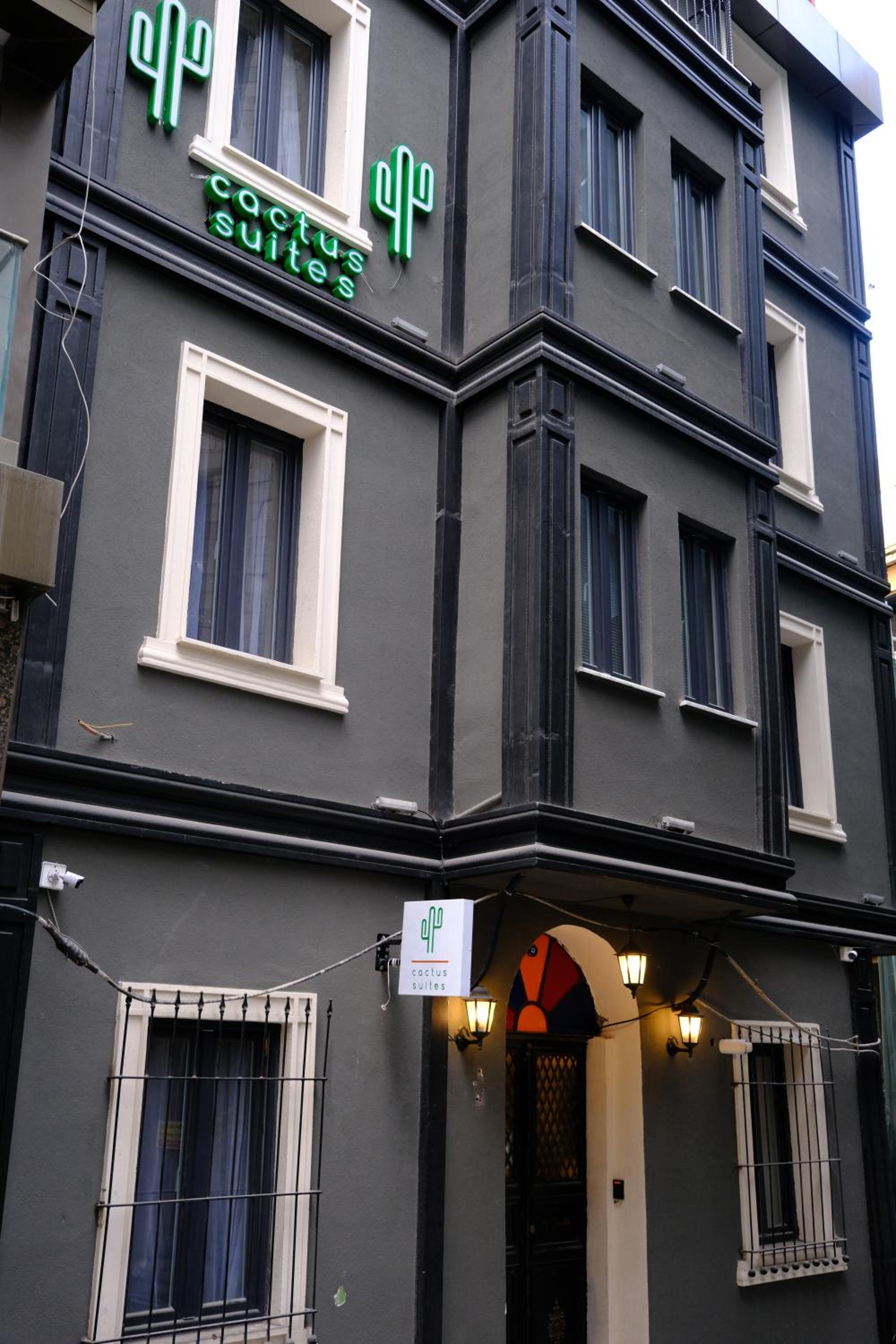 Cactus Süitler - Image 25