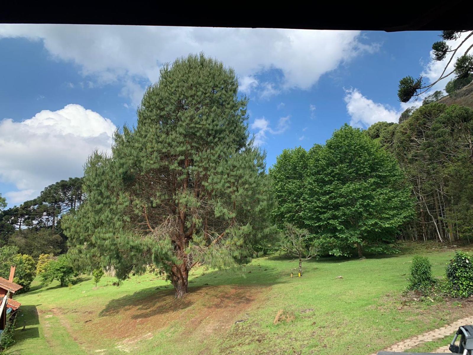 Residencial das Araucárias view 2