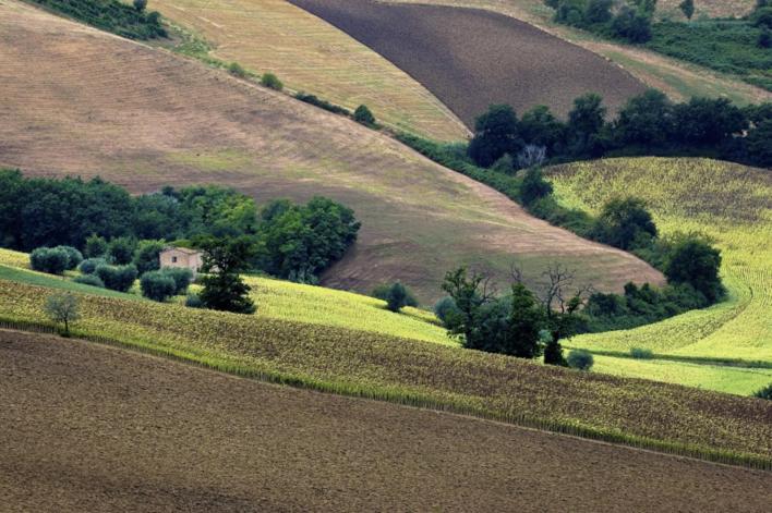 Agriturismo Il Gelso Antico