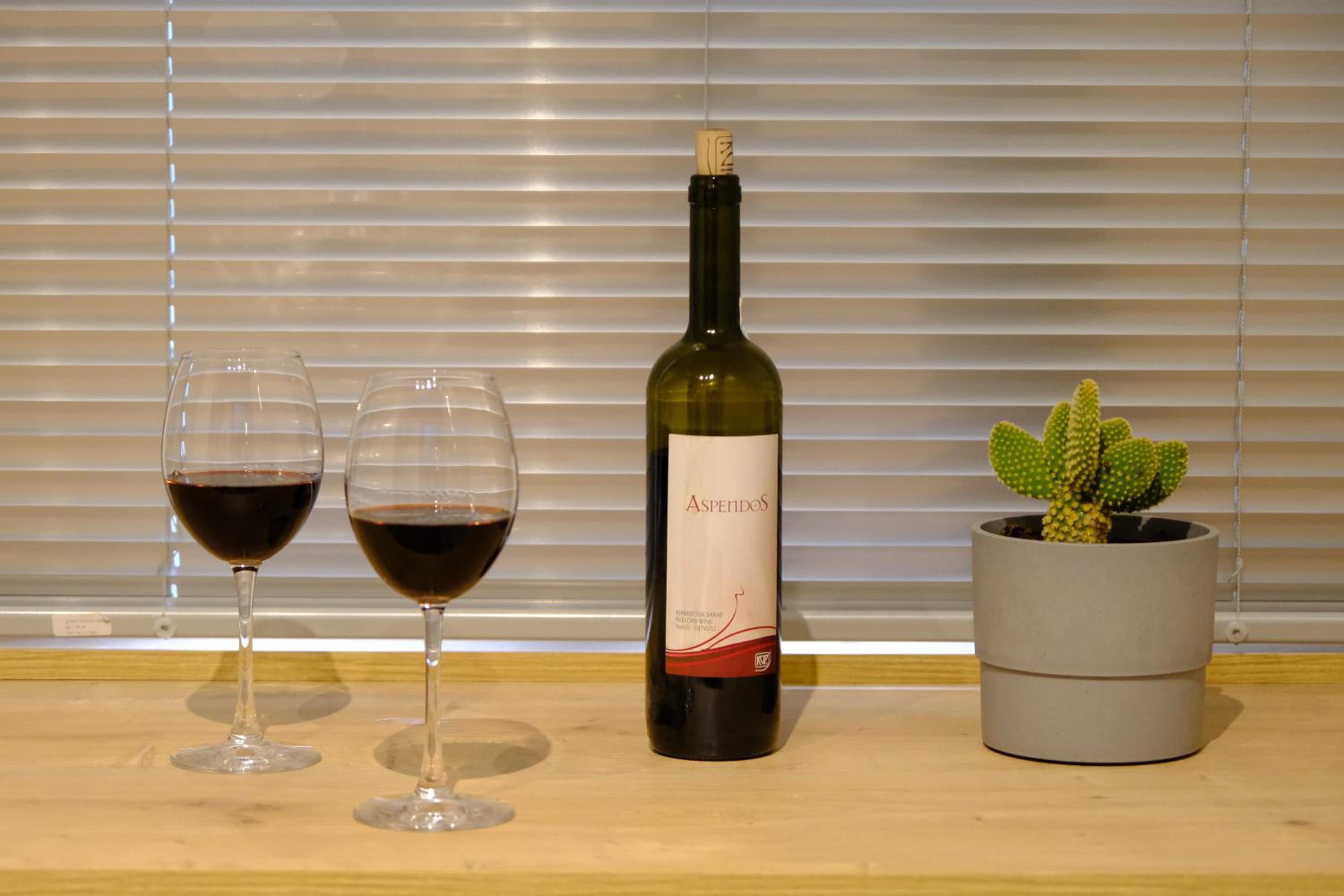 Cactus Süitler - Image 15